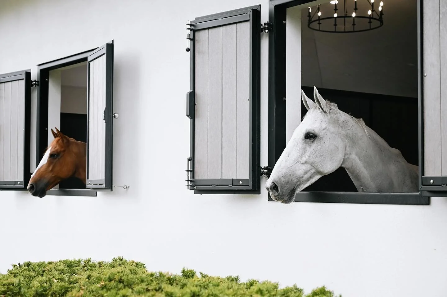 Welcome to Alma 🤍 A sanctuary for horses, riders, and community with top-tier facilities. Where care meets connection, and every detail is designed with love.