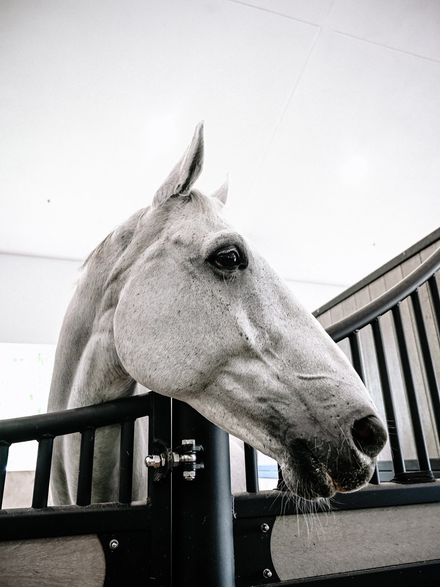 A glimpse into daily life at Alma.🤍
A brand-new facility designed for care, flow, and performance.
Limited WEF &amp; annual stalls available.