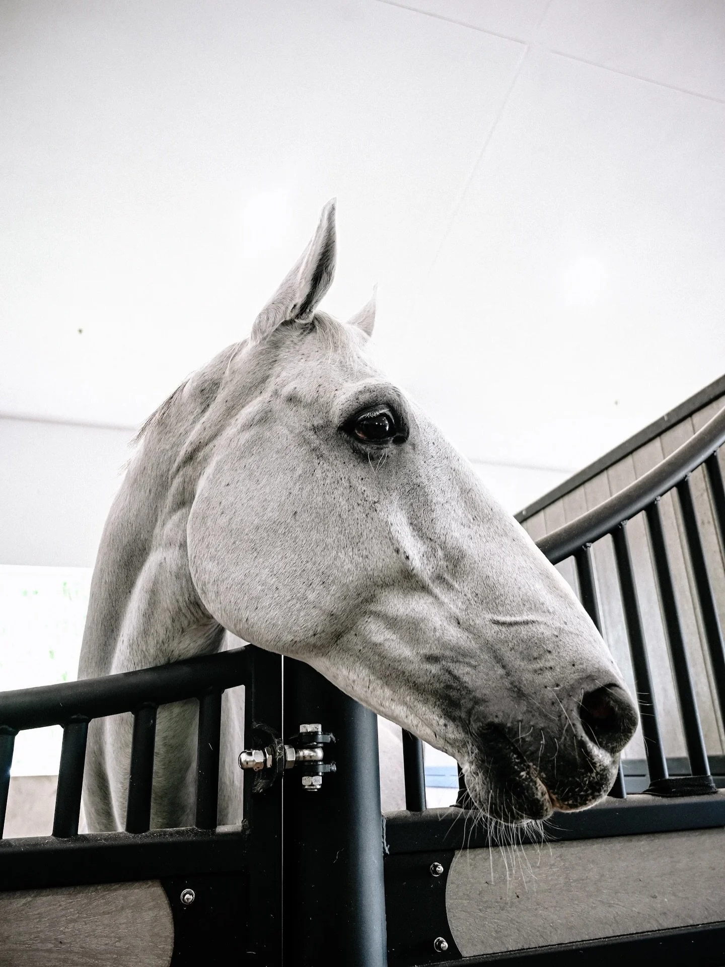 A glimpse into daily life at Alma.🤍
A brand-new facility designed for care, flow, and performance.
Limited WEF &amp; annual stalls available.