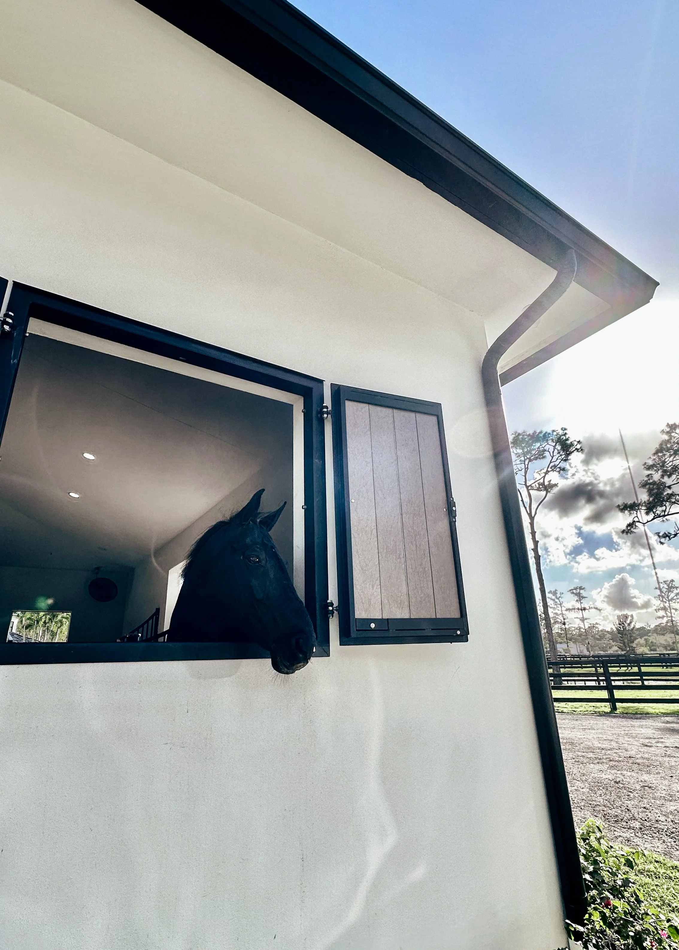 Black horse looking out from a stable window outside a white barn with a cloudy sky and trees in the background.