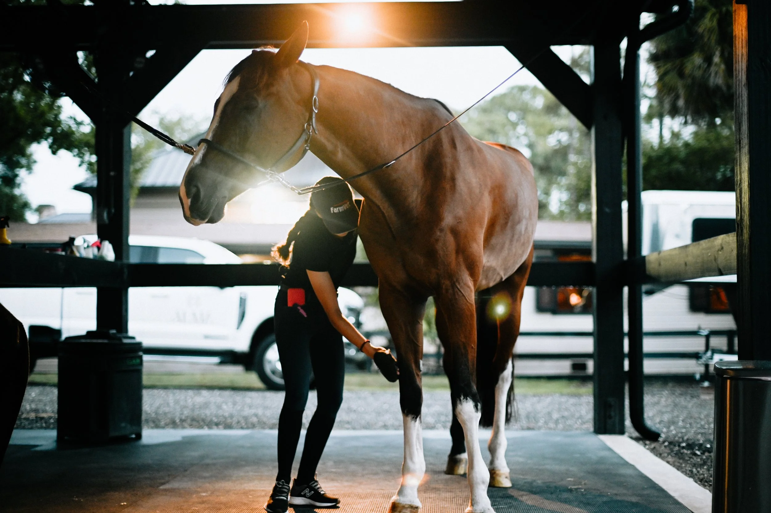 A woman grooms a brown horse in a shaded covered area at a stable during sunset.
