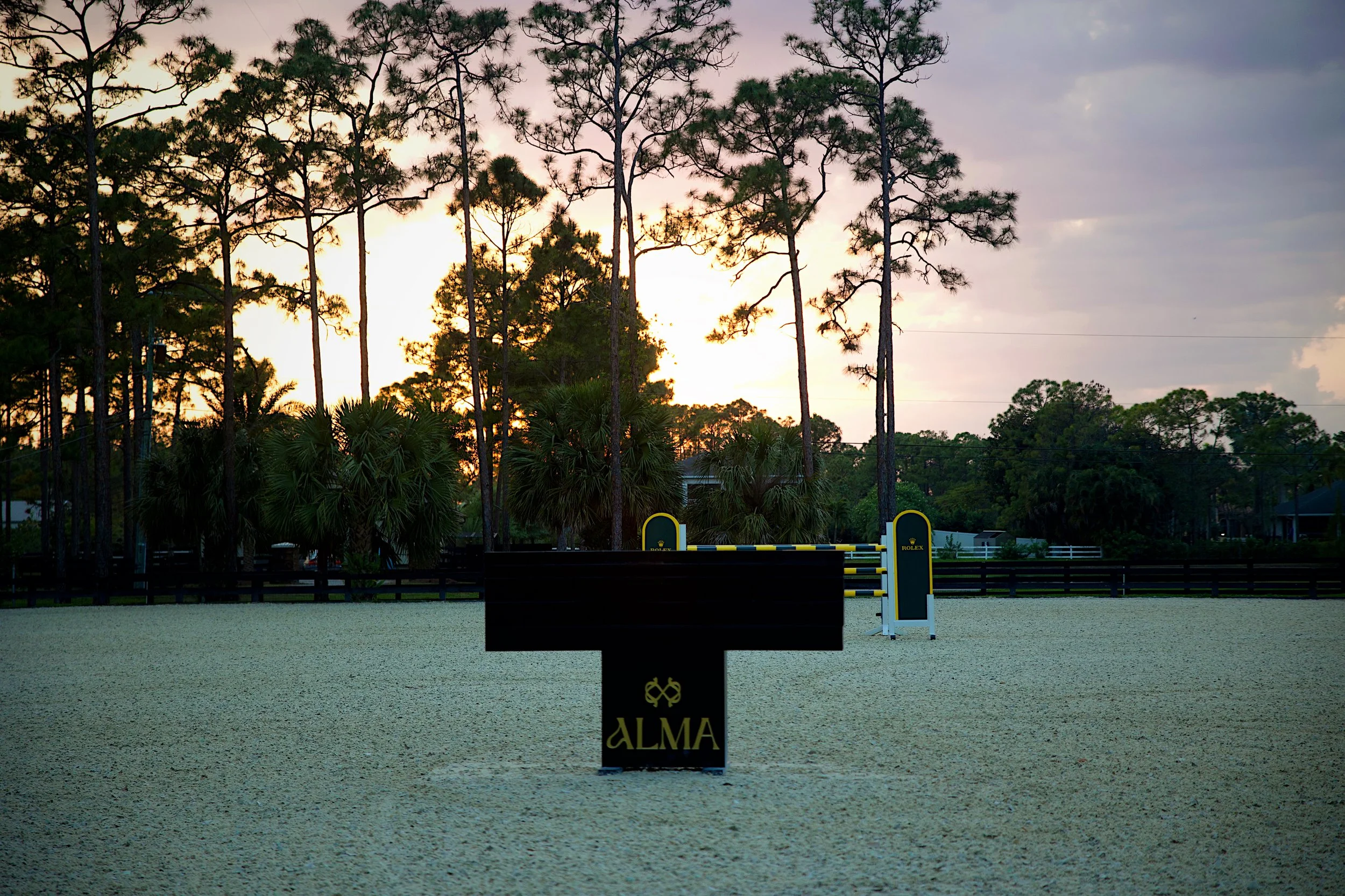 An outdoor riding arena with a jump labeled 'ALMA' in the foreground, several other jumps in the background, surrounded by tall pine trees and some palm trees, with a sunset sky overhead.