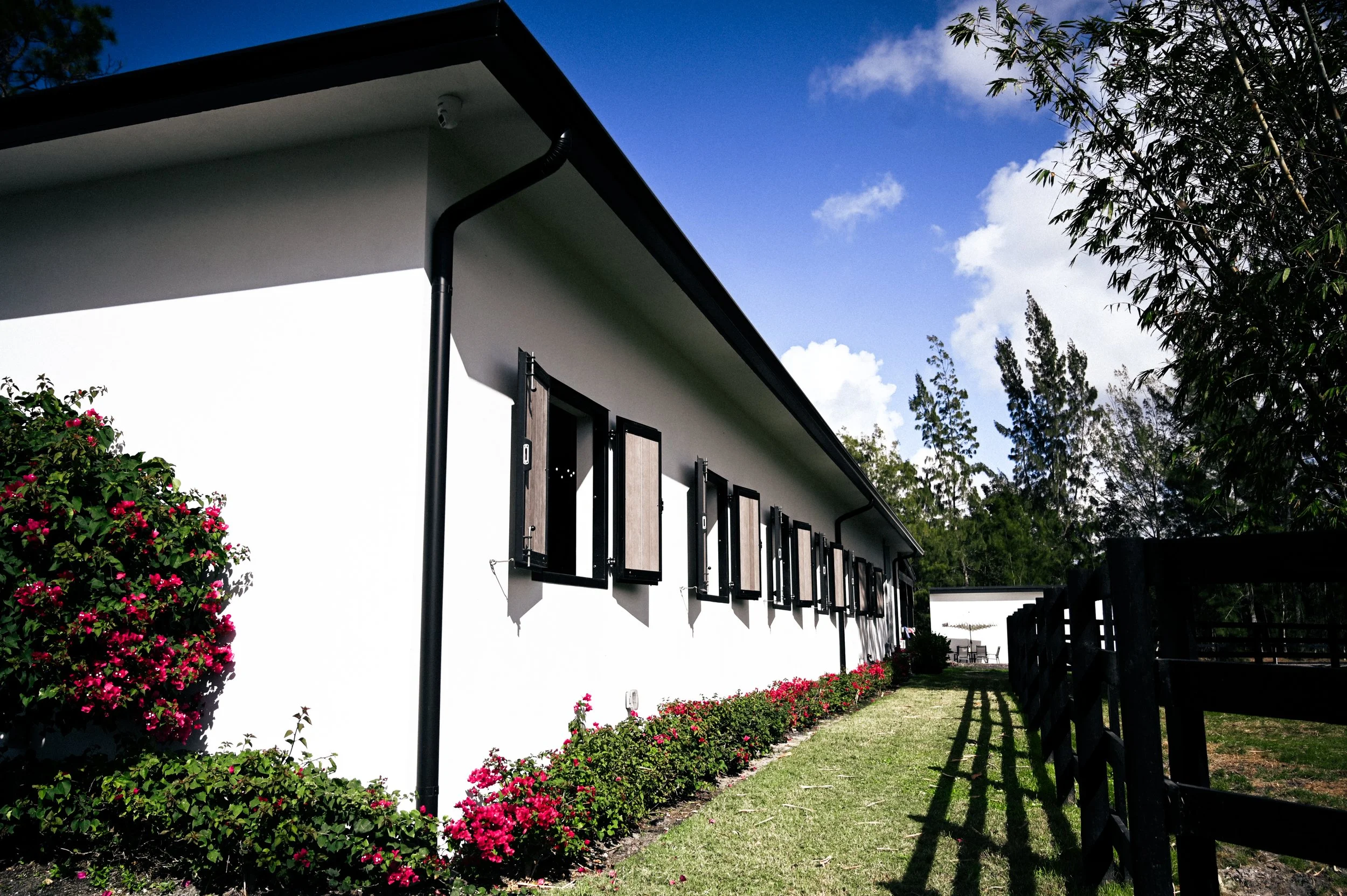 Side view of a modern house with open window shutters, a black fence on the right, flowering bushes along the wall, and trees in the background on a sunny day.