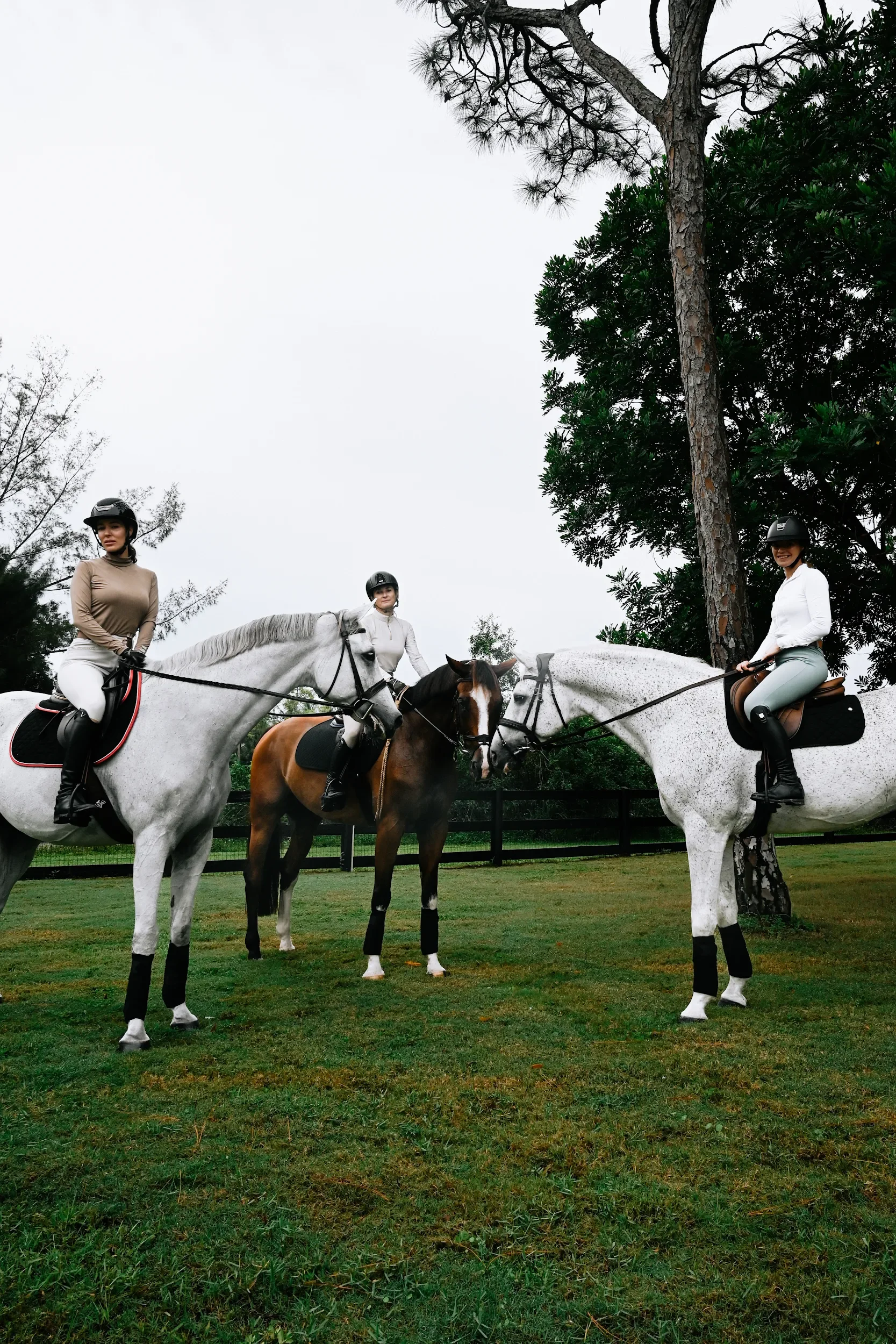Three women riding horses outdoors on a grassy field with trees and a cloudy sky.