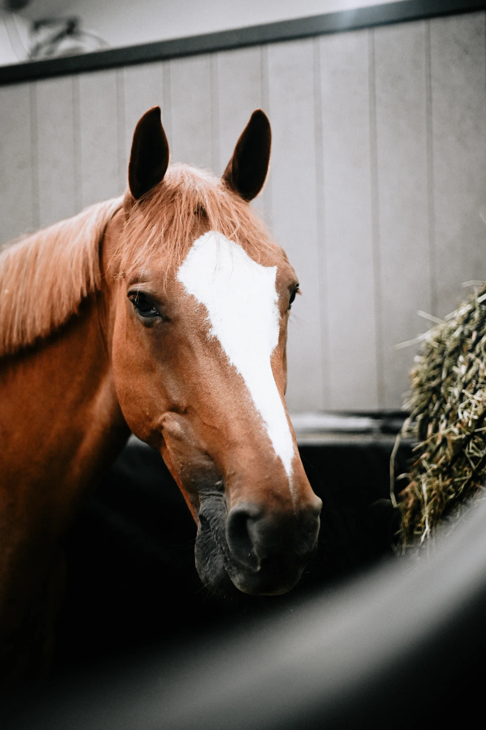 A brown horse with a white blaze on its face inside a stable, near a pile of hay.