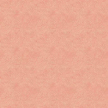 peach.webp