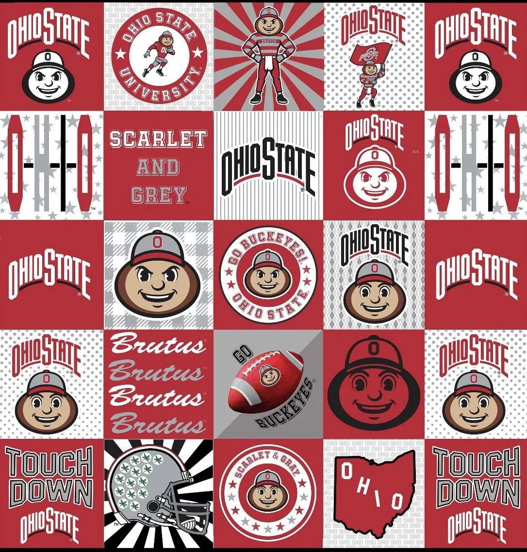 Ohio State Buckeyes Minky Fabric Panel, 60" Square