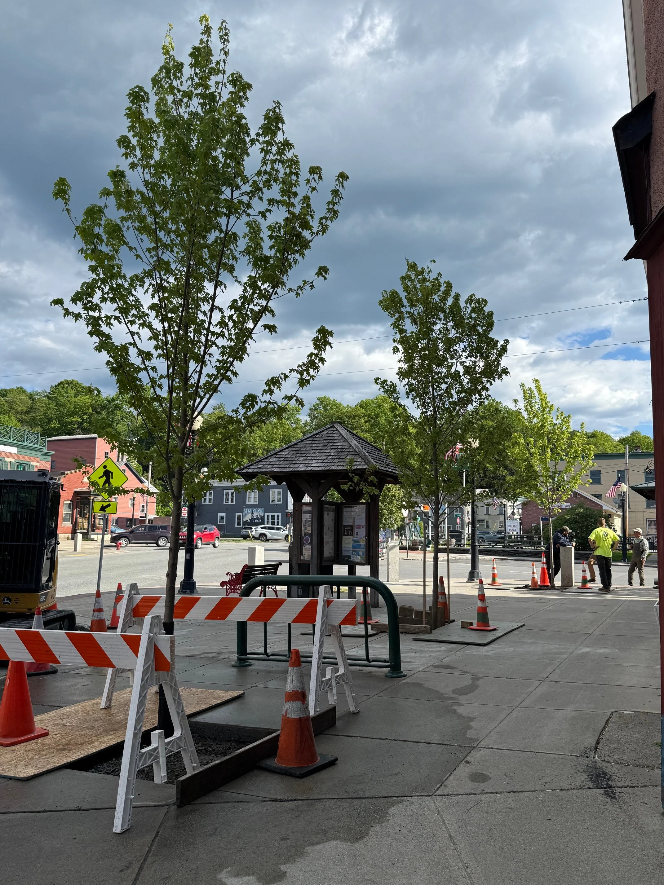 Tree Installation