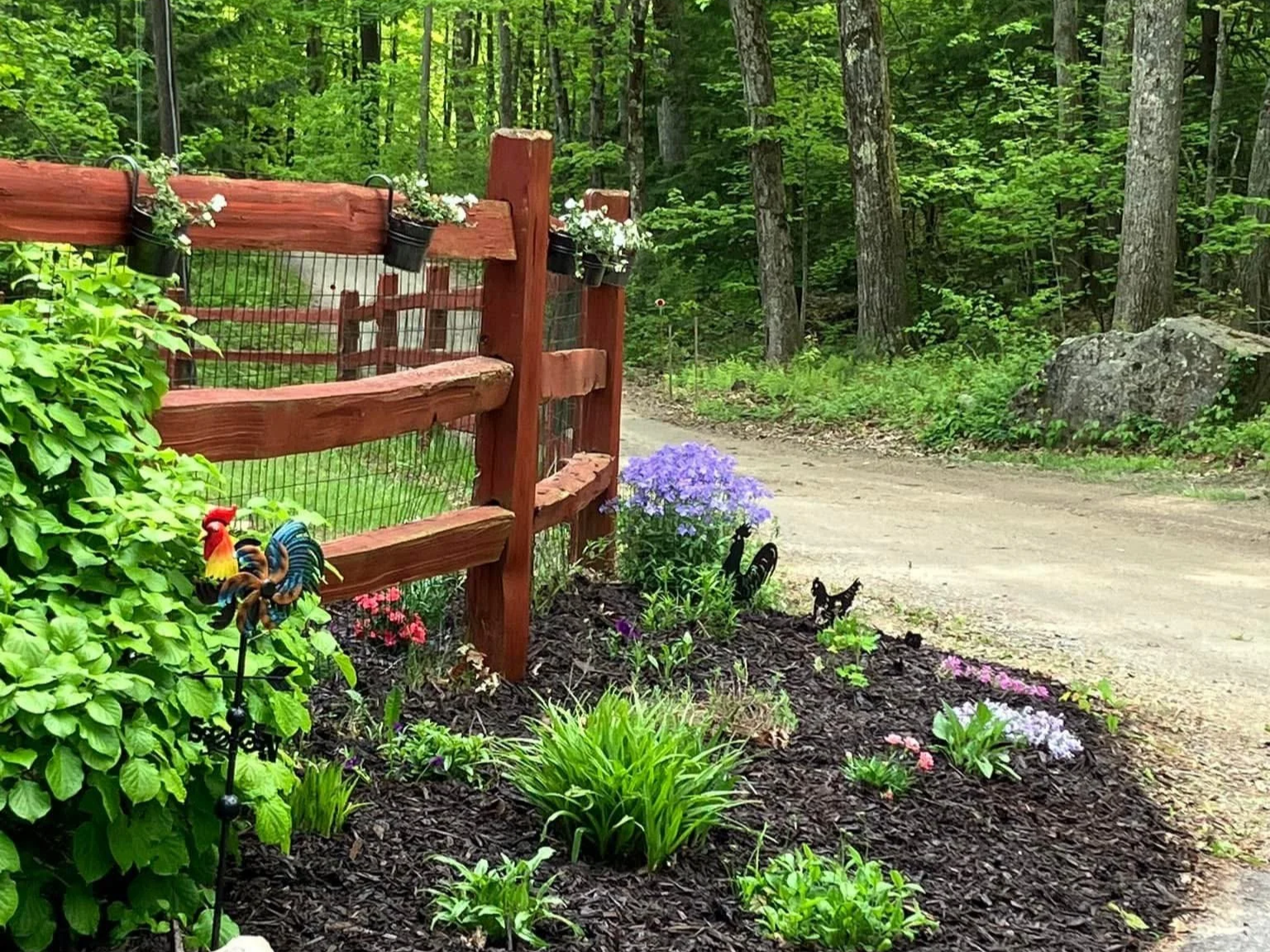 A garden with a wooden and wire fence, colorful flowers, a small black-and-white cat, and a gravel road in a wooded area.