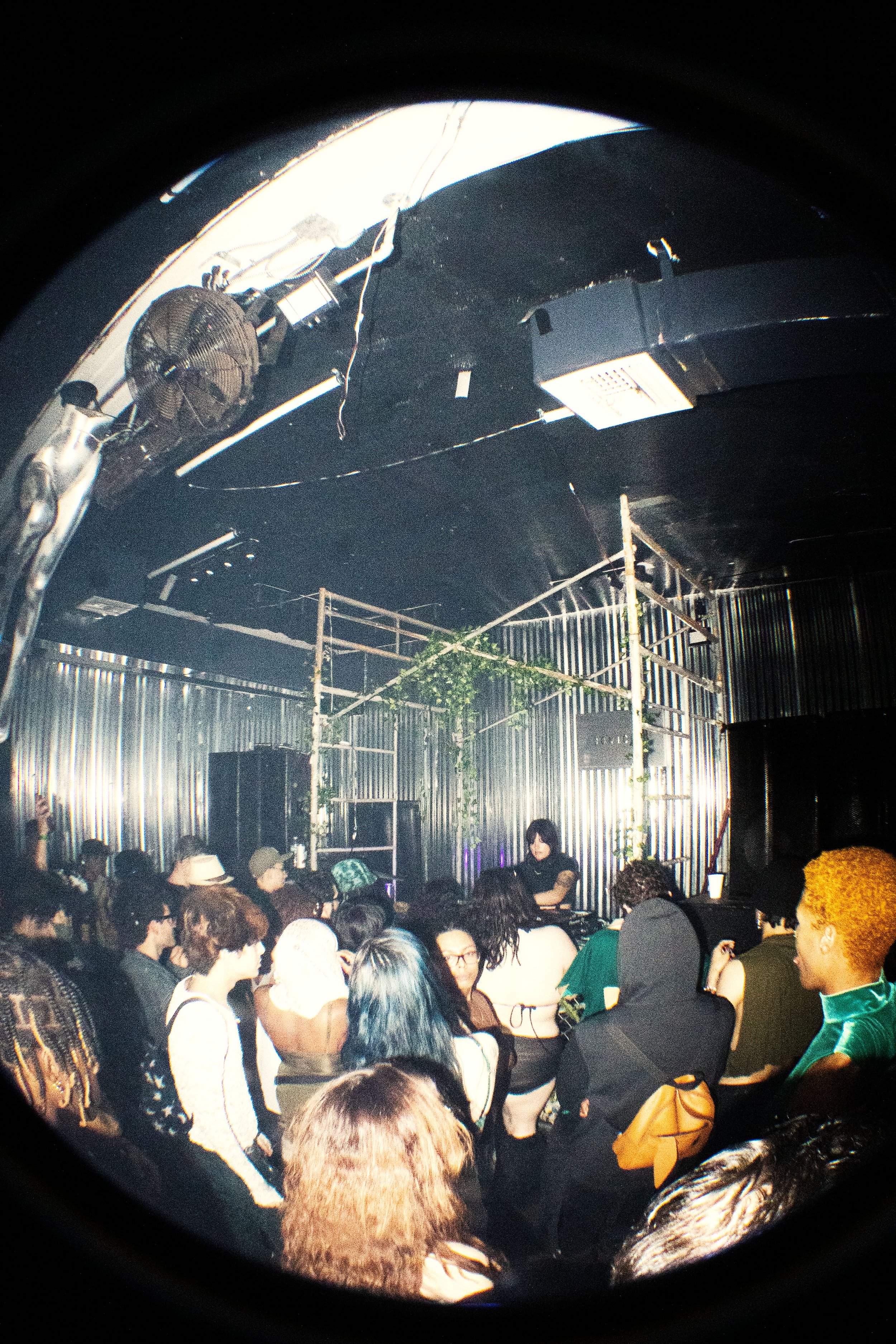 pls release the cash.jpg