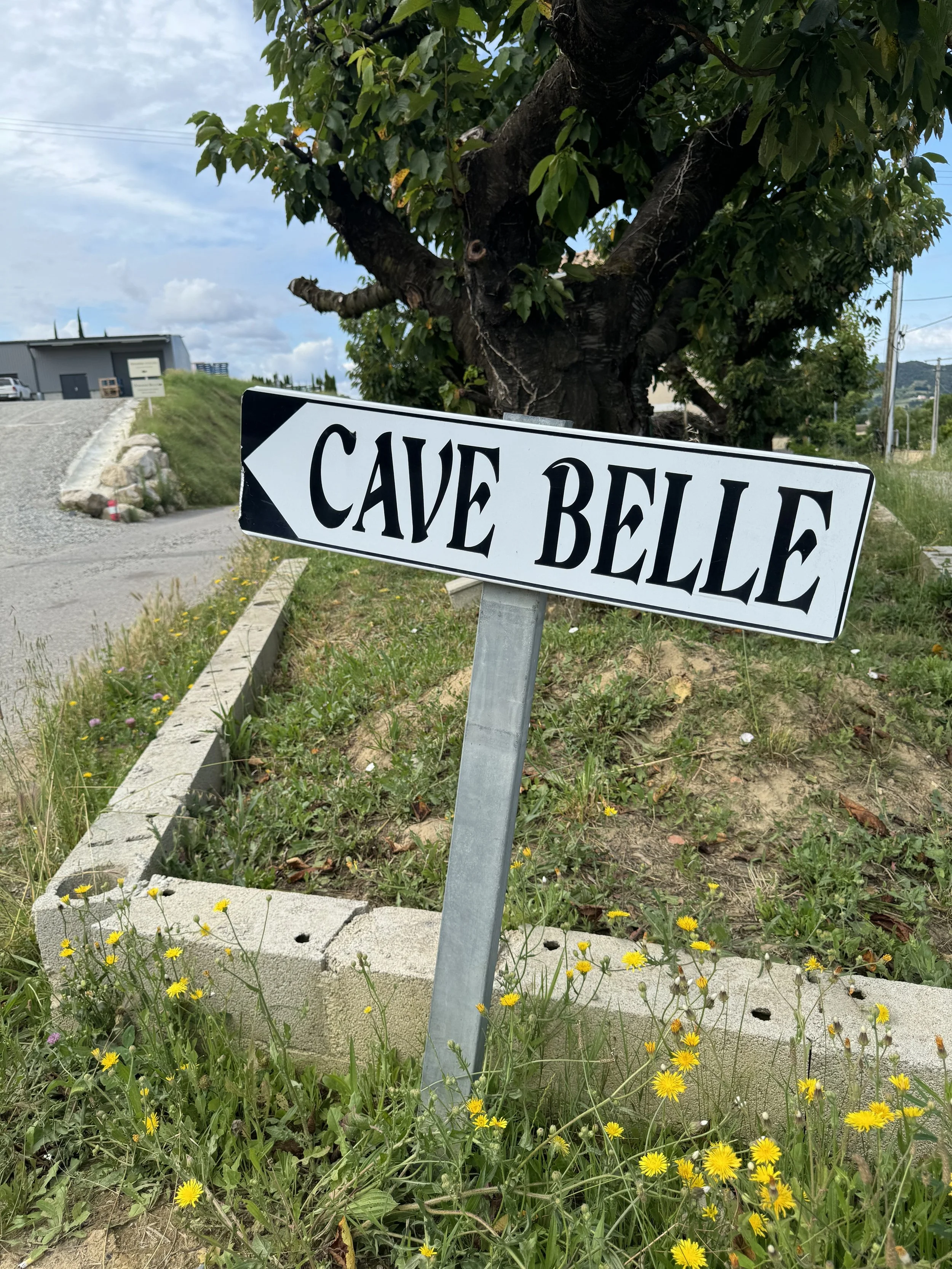 Domaine Belle, and a tasting in google translate
