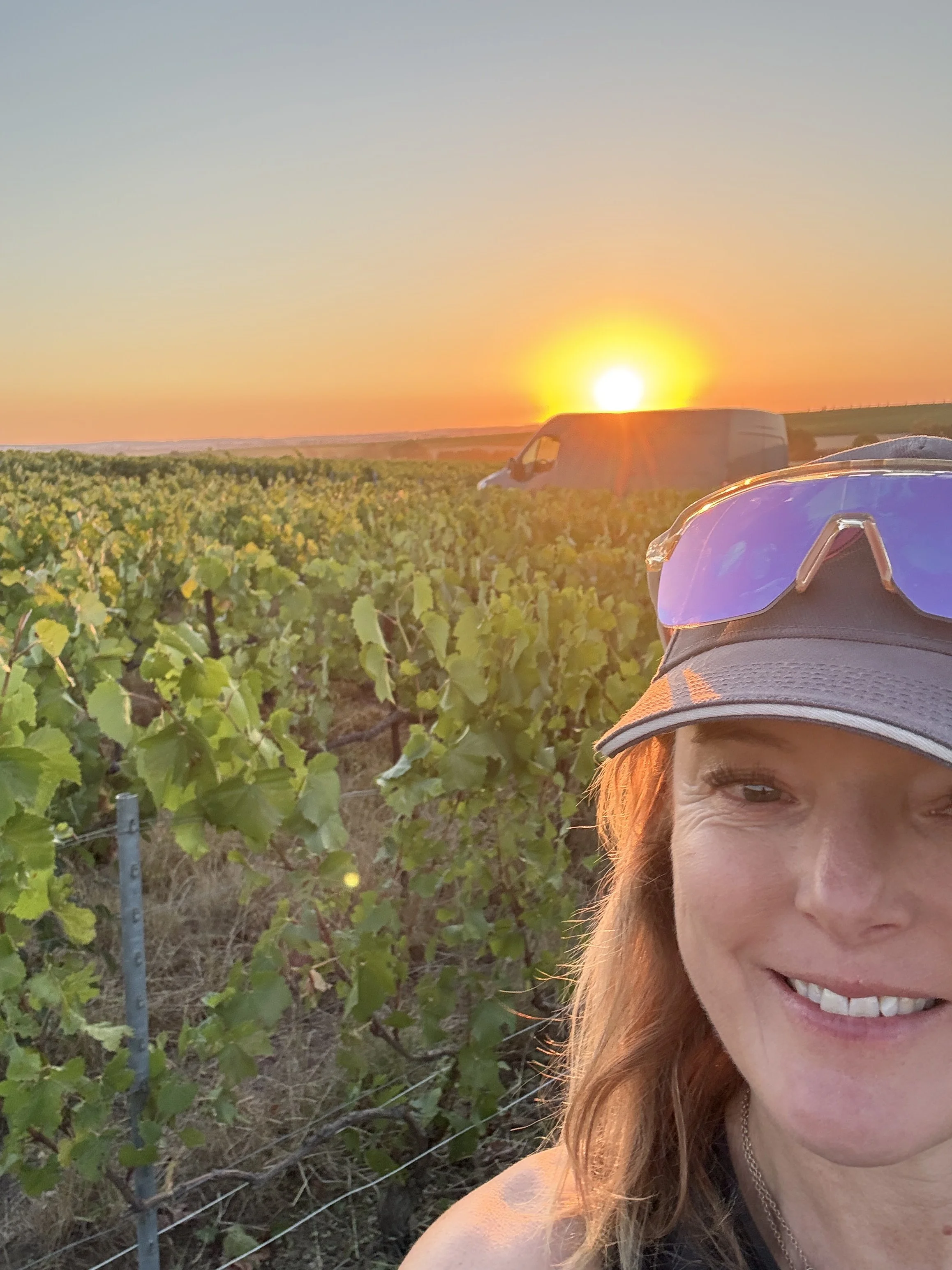 First Day of Harvest 2026