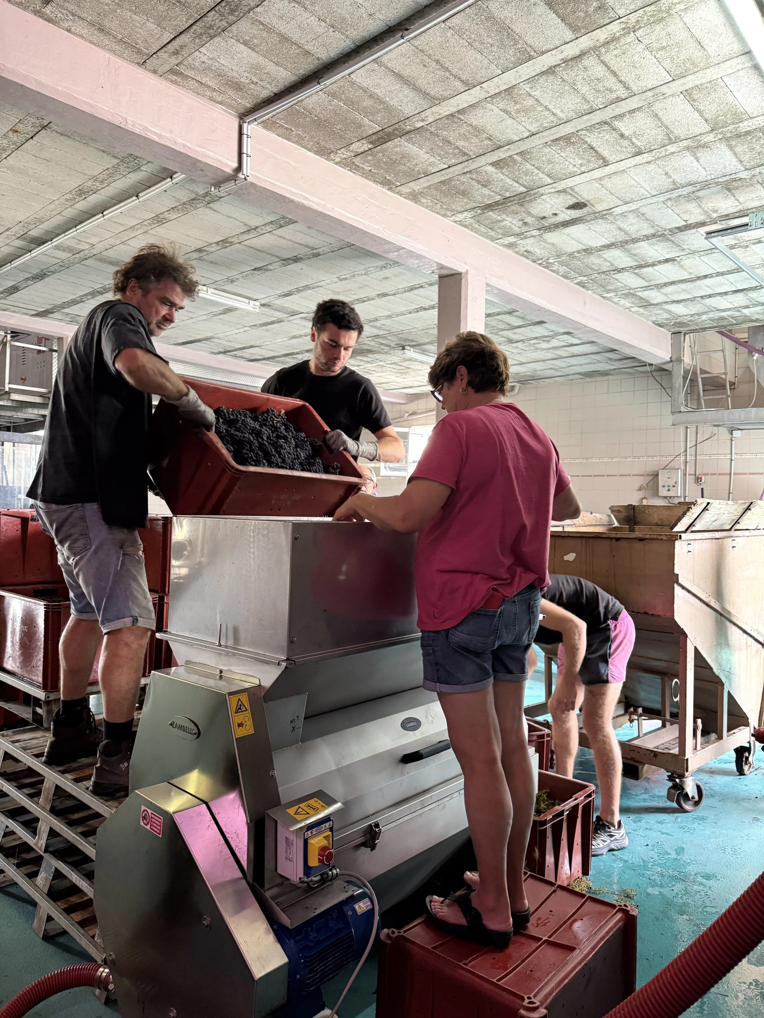 Making Champagne and Pinot Noir