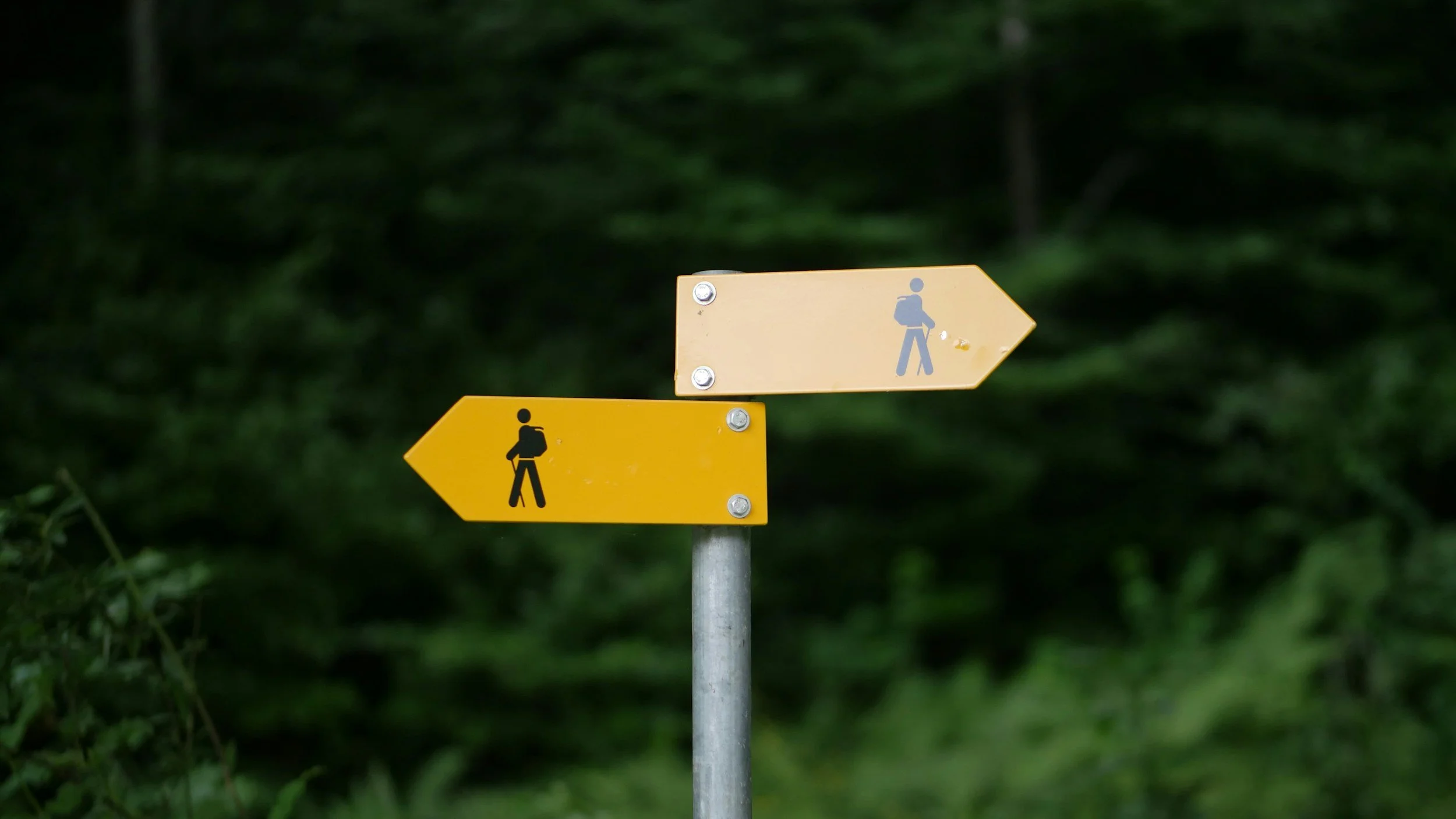 Going Digital? The Build-or-Buy Decision in 2026