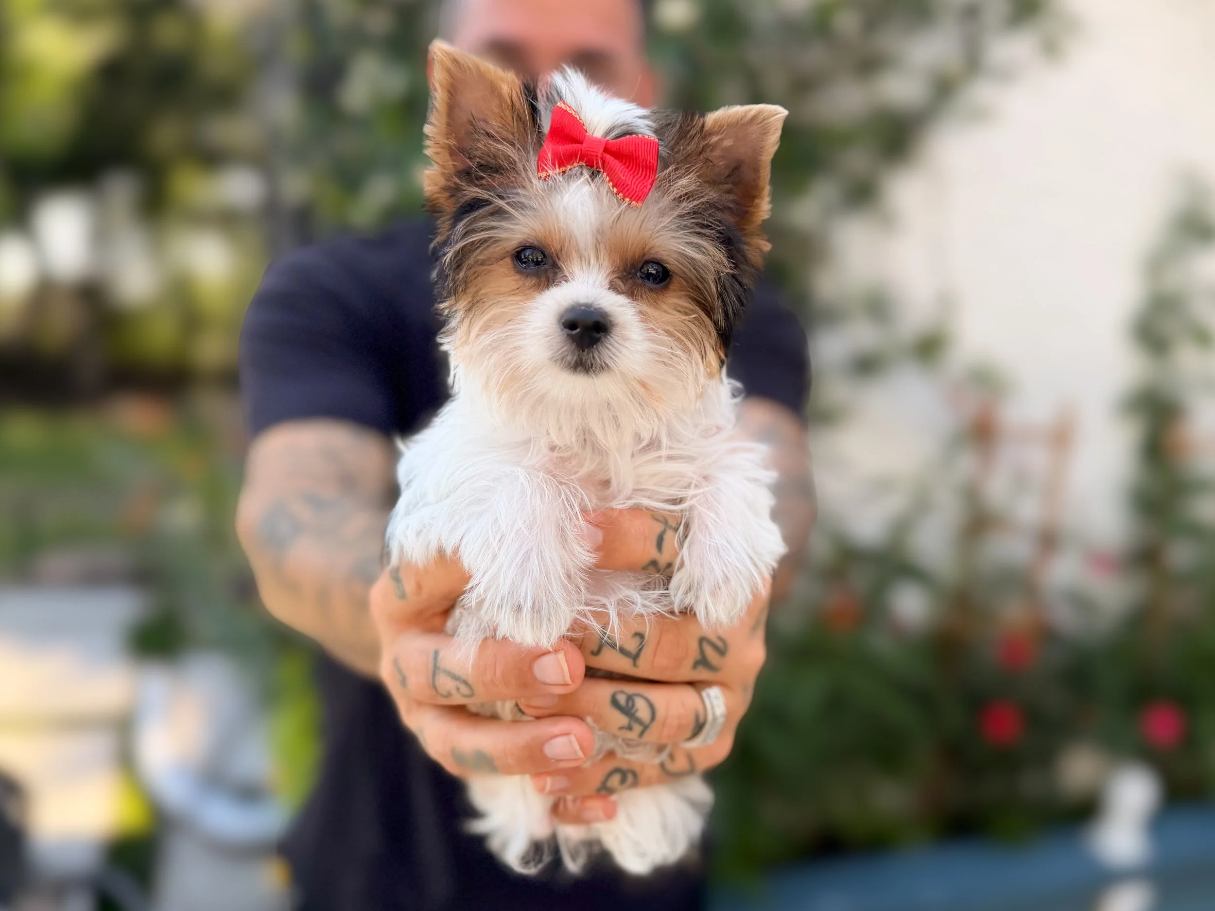 ❤️ Rosie ❤️