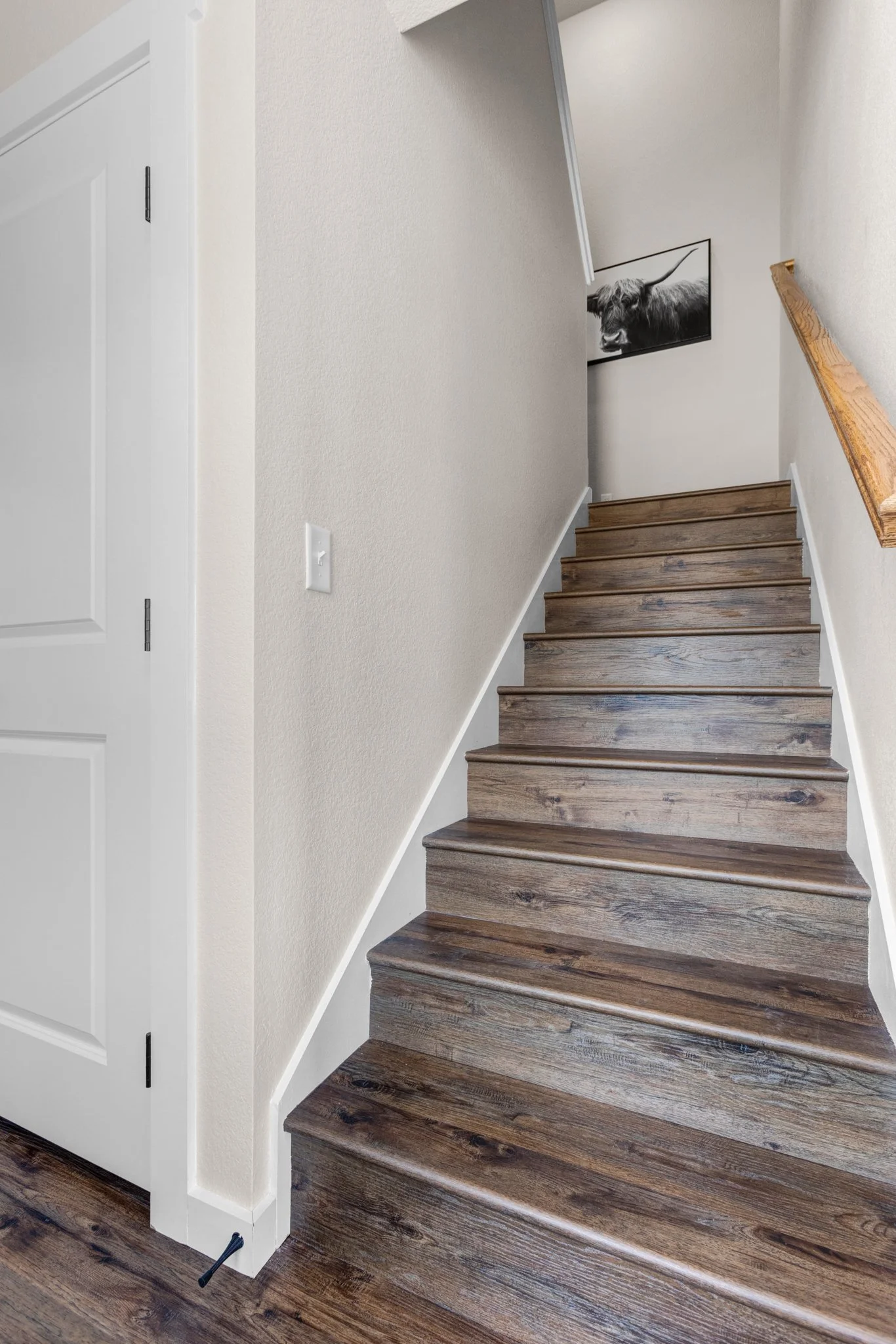 325 Williams INTERIOR - 11.jpg