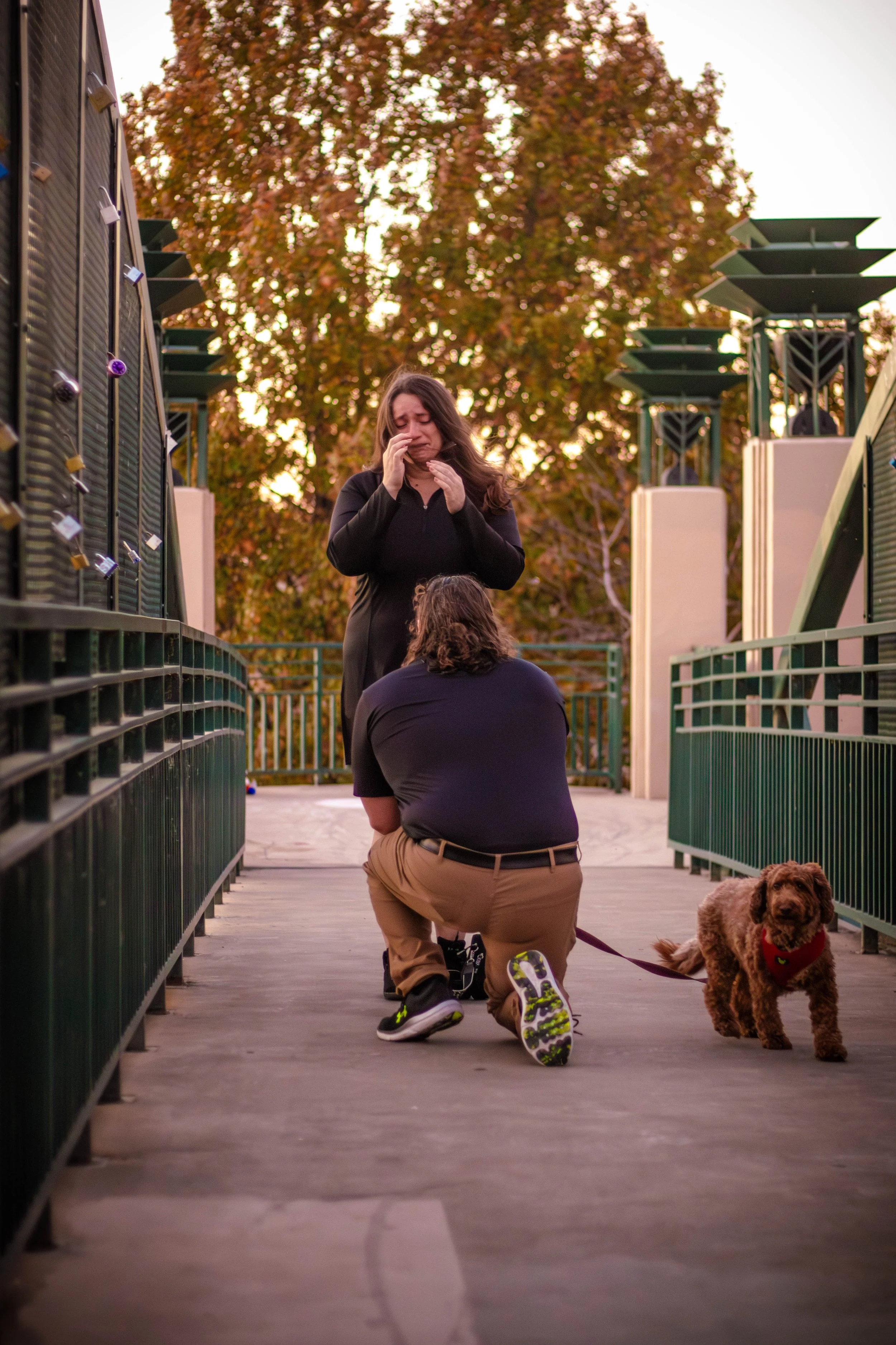 A woman wipes away tears while kneeling on a bridge in front of a crying woman. A small dog sits nearby, and autumn trees are visible in the background.