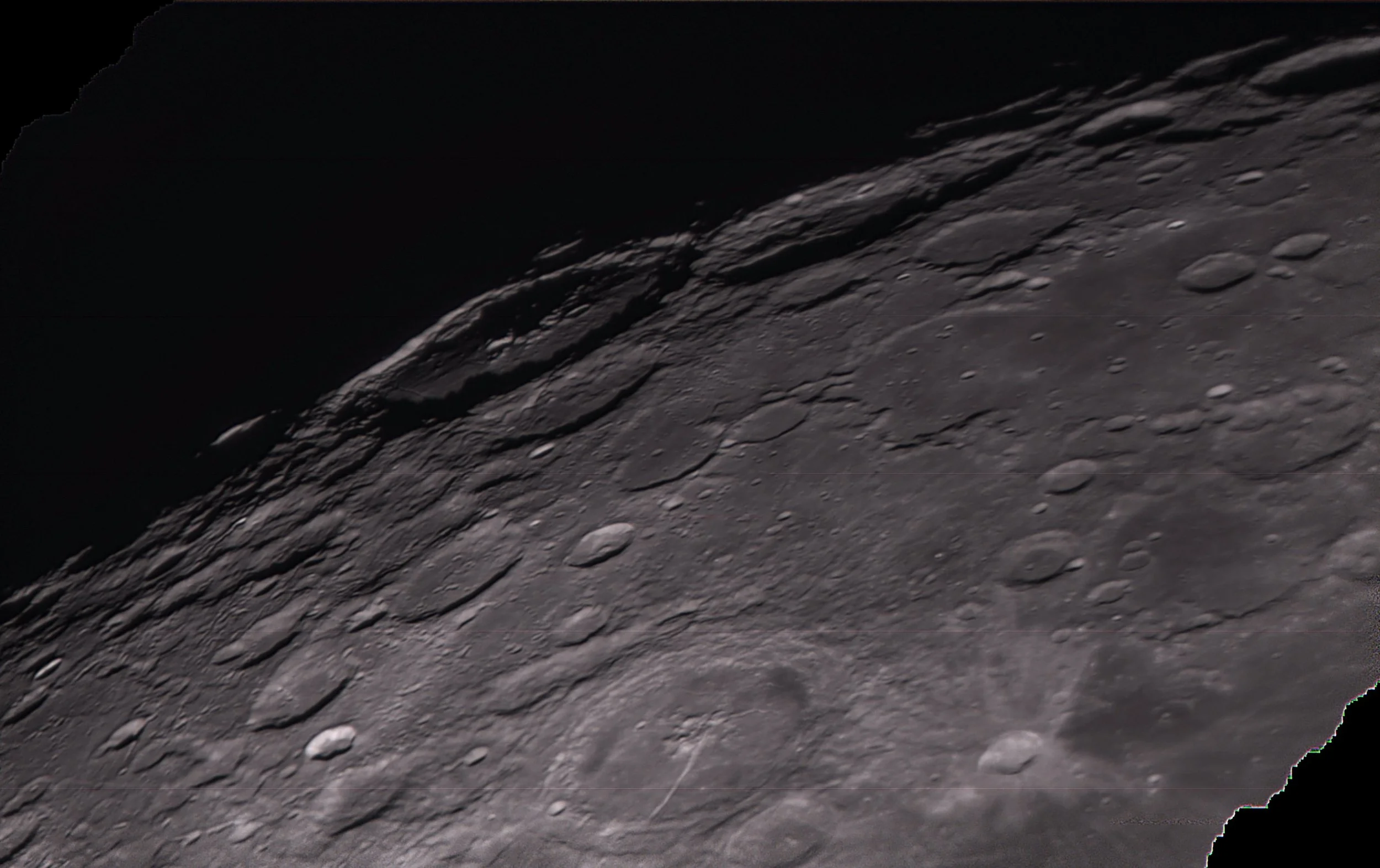 Up close shot 2.jpg