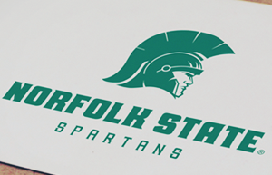 Norfork State football player wearing jersey number 15 on the field with spectators in the background.