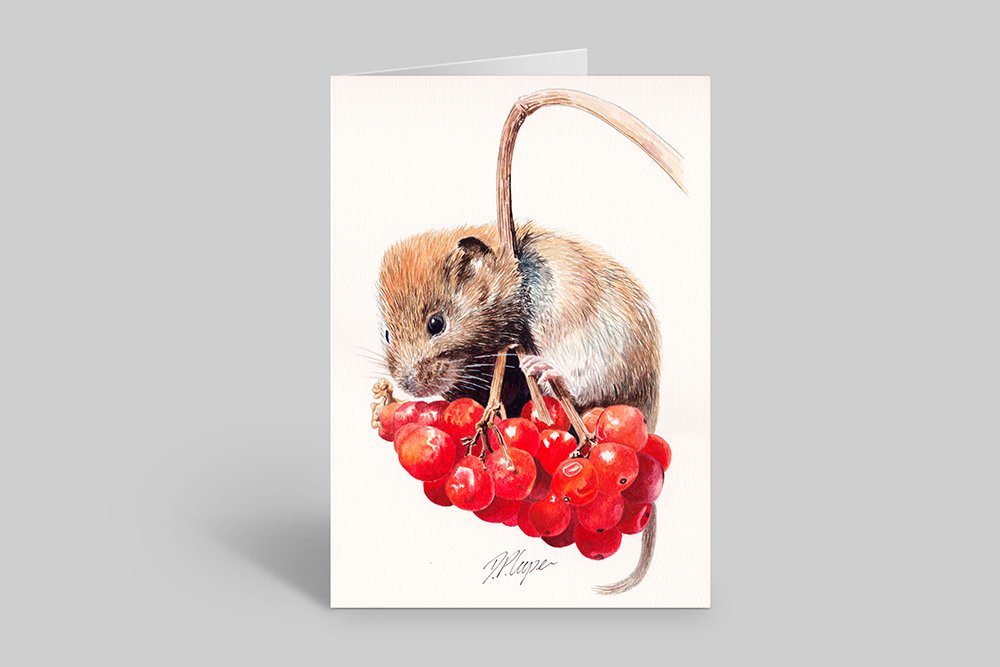 PORTRAITE_RED_BERRIES.jpg