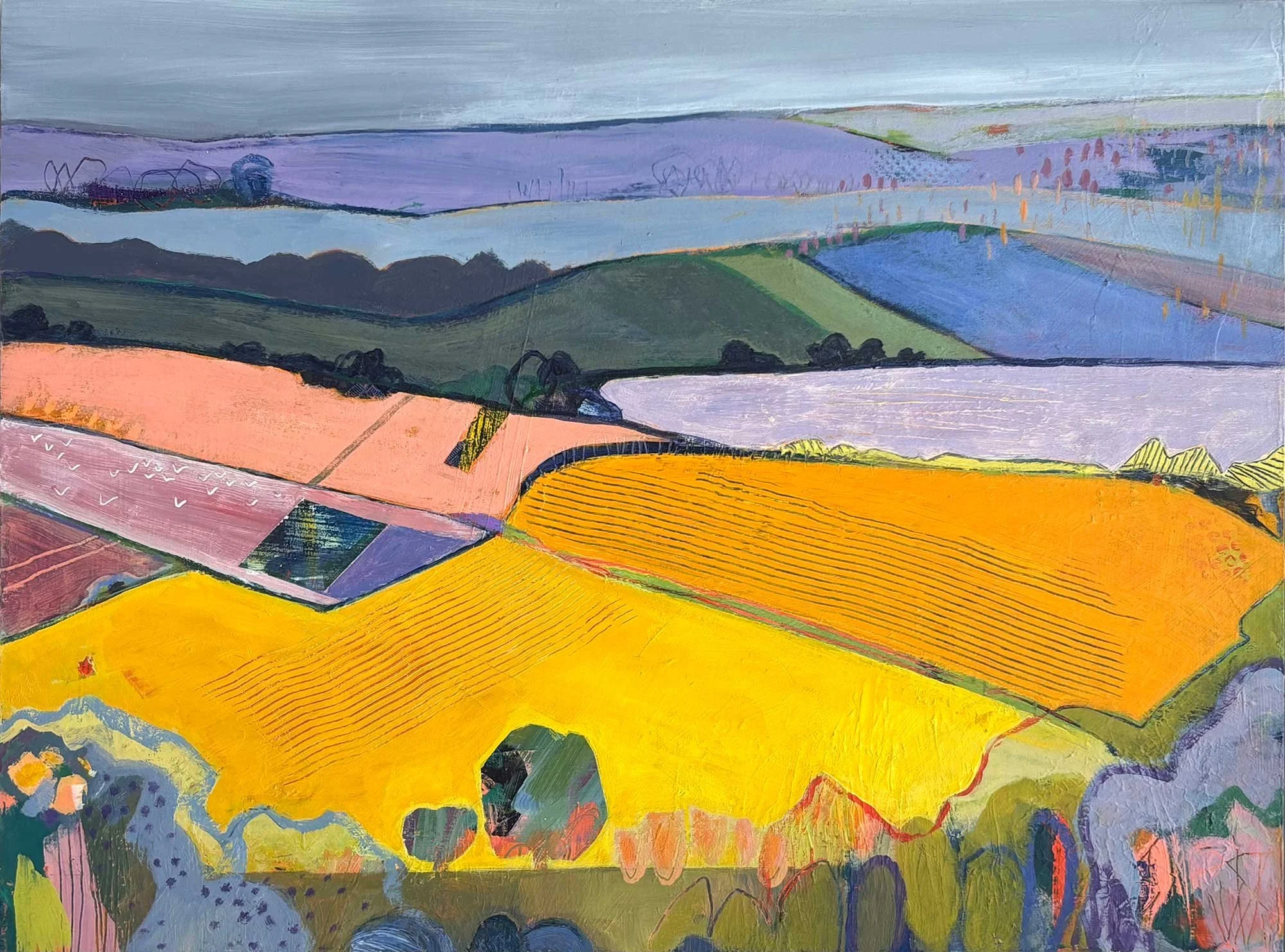 Taking-it-all-in-colourful-fields.jpg