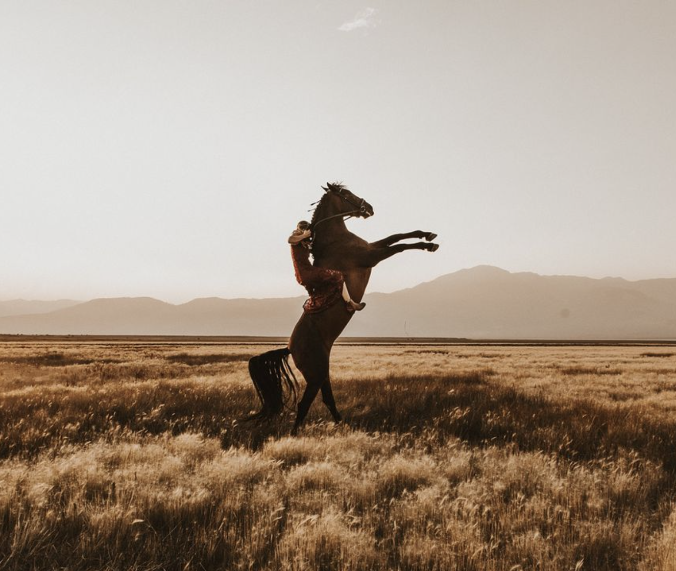 Screenshot 2024-09-06 at 12.23.10 PM.png