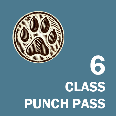 6 Class - Punch Pass