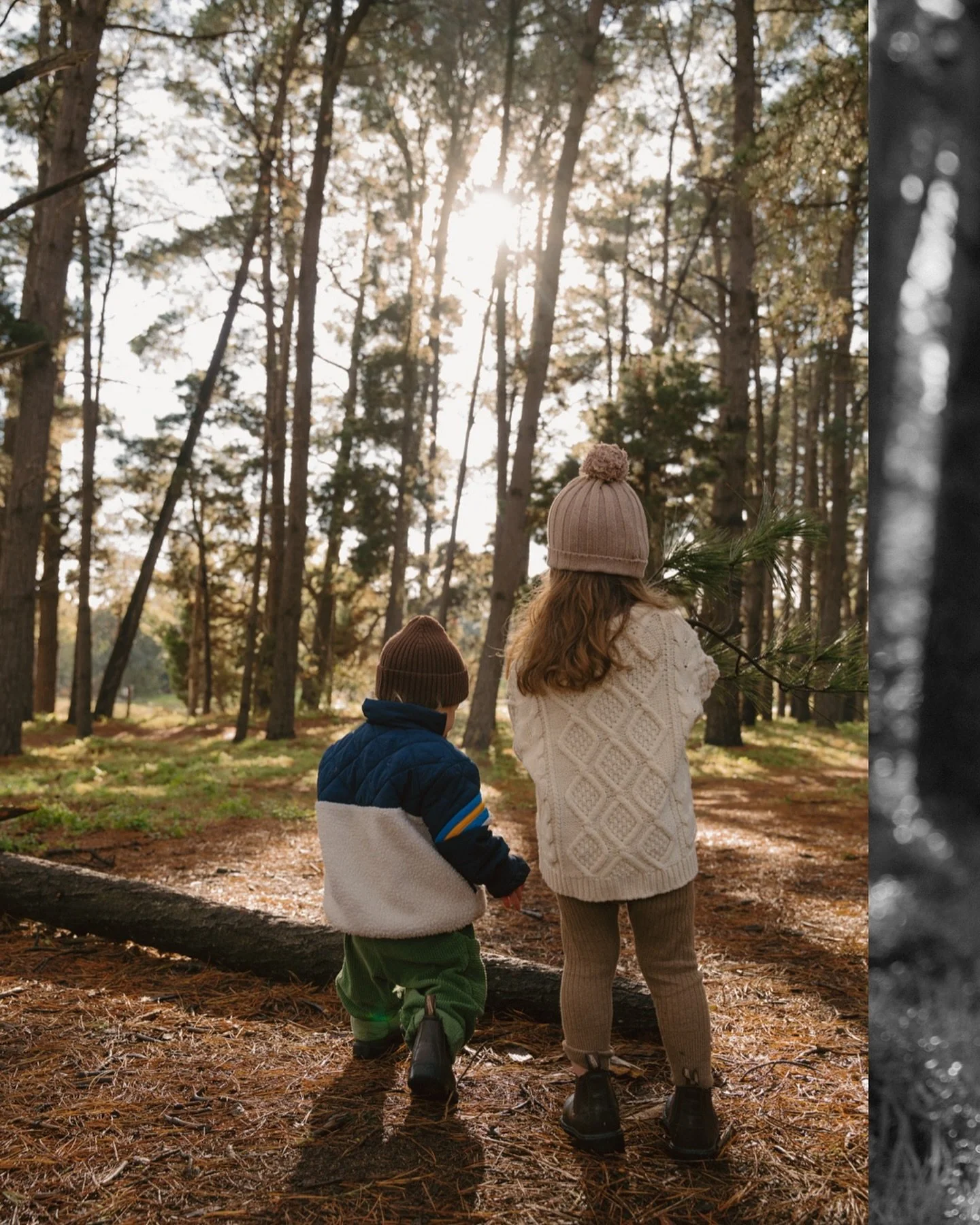 Took the little ones out on a local forest-dwelling adventure 🌲