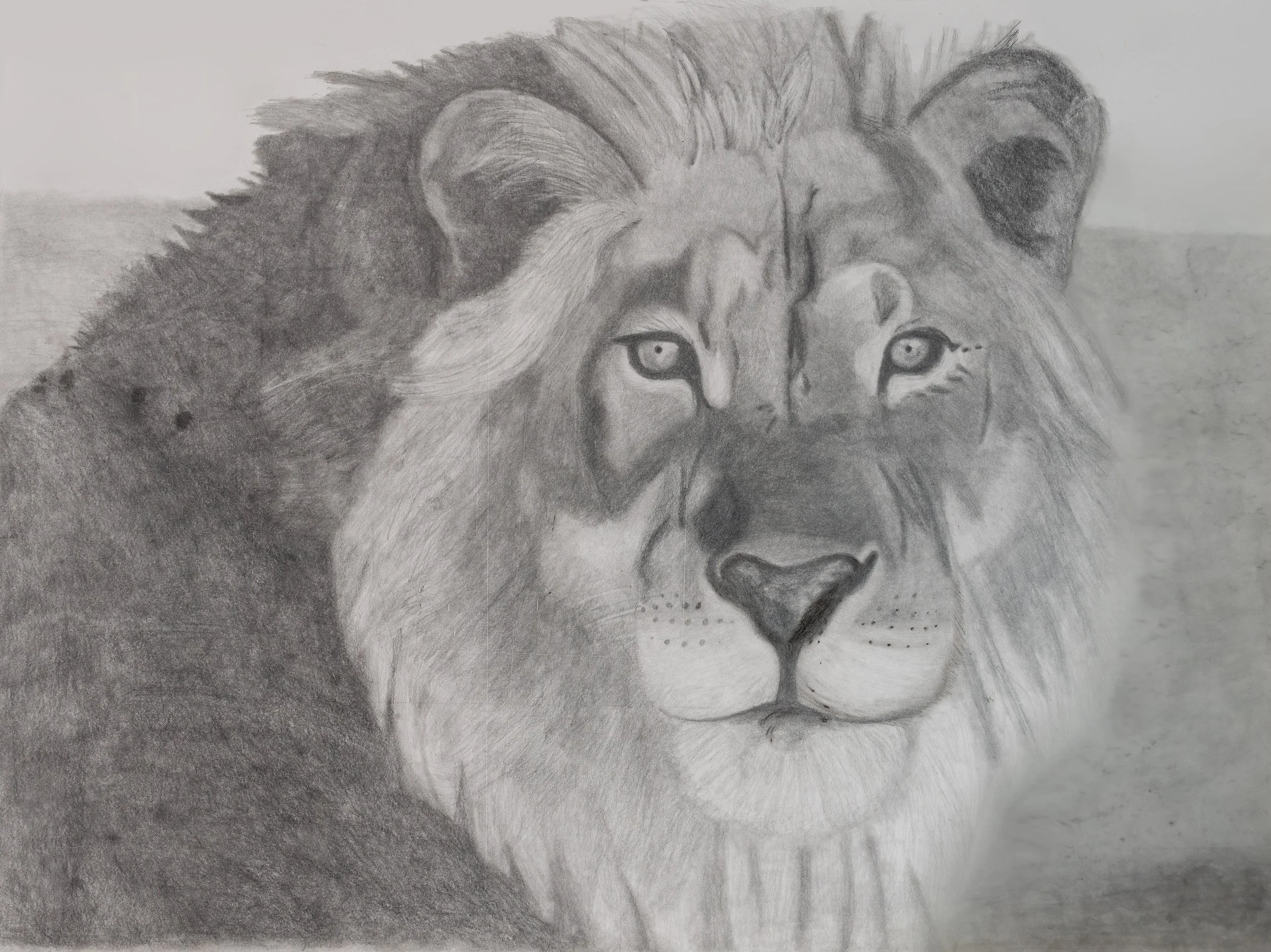 11lionFINAL.jpg
