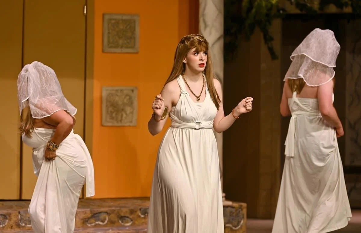 Philia in A Funny Thing... Forum at The Barn Theatre