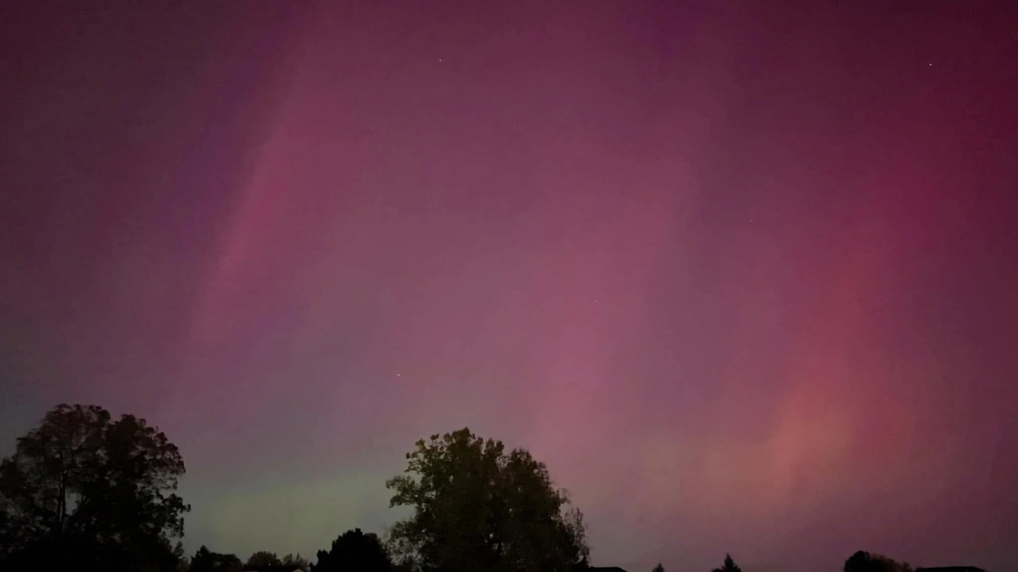 Night sky with pink and purple aurora, silhouetted trees at the bottom