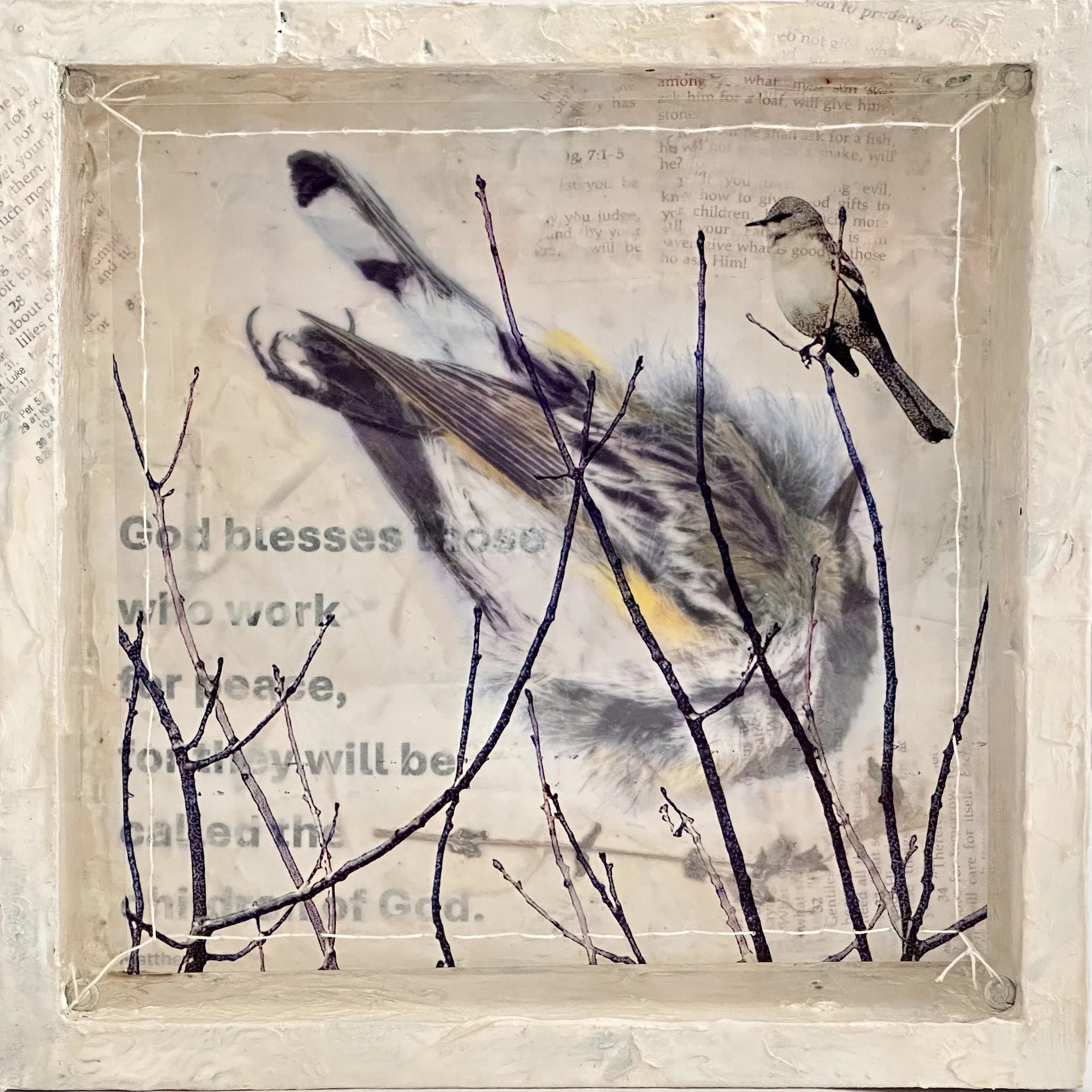 Dissonance (2) Peacemakers 8x8x2.jpg