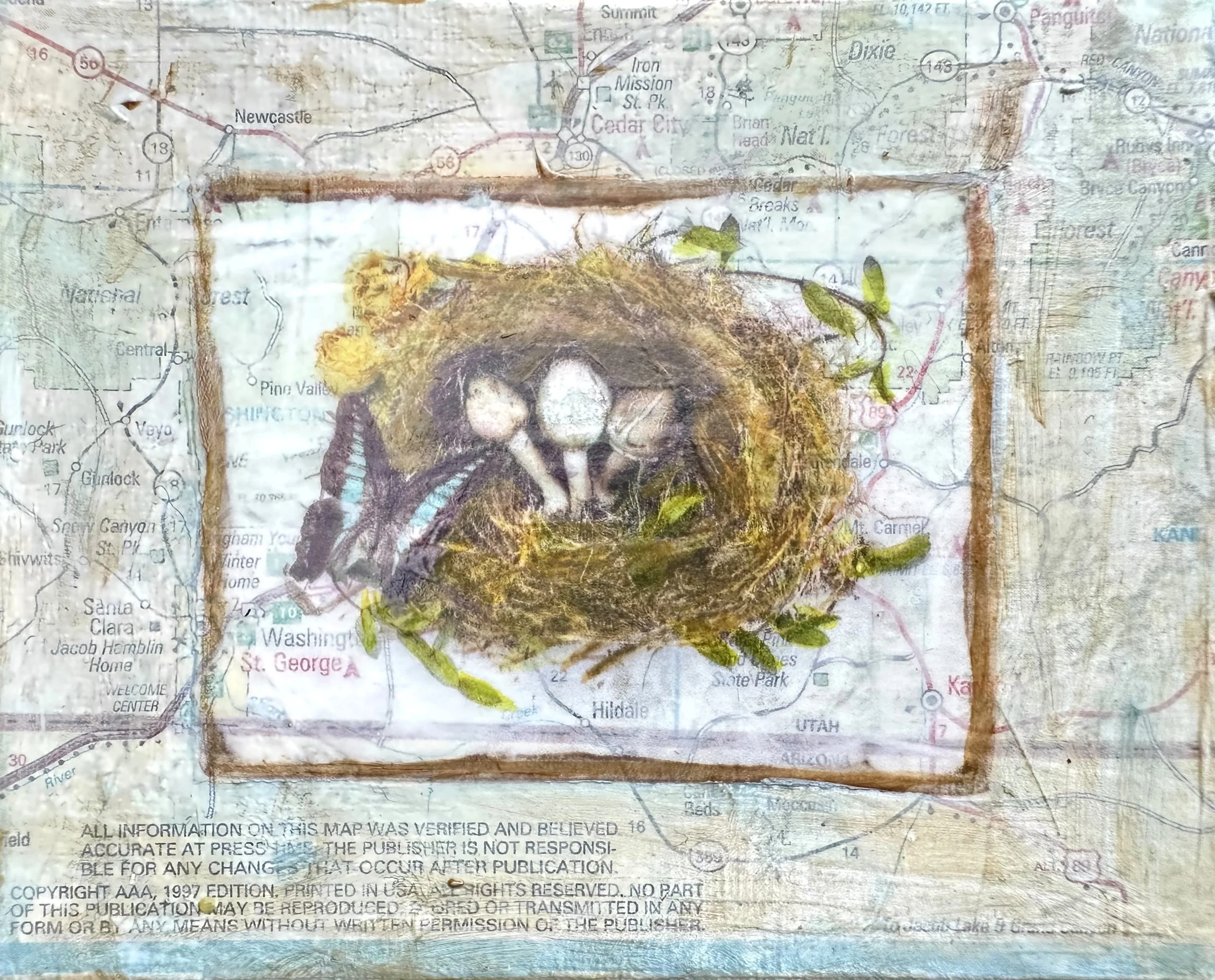 Mushroom Nest #2