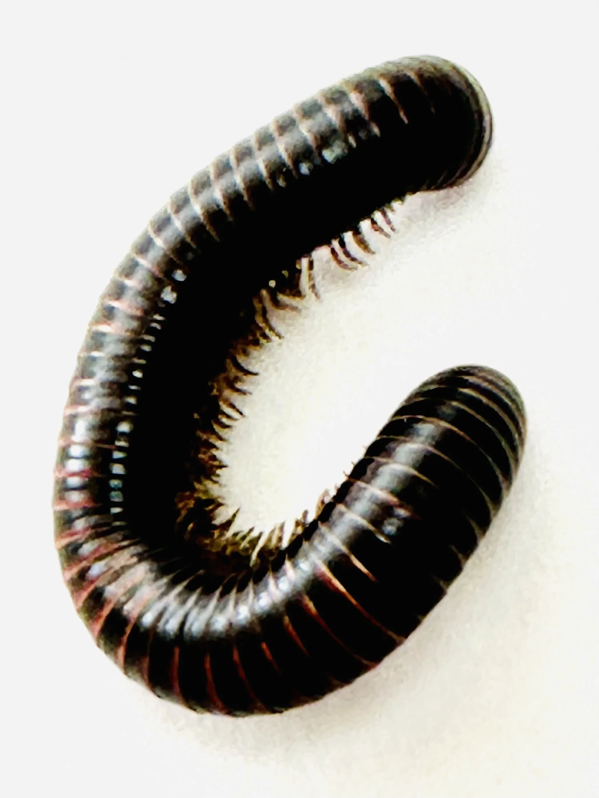 web 2026-03-02 11.20.50-1.jpg