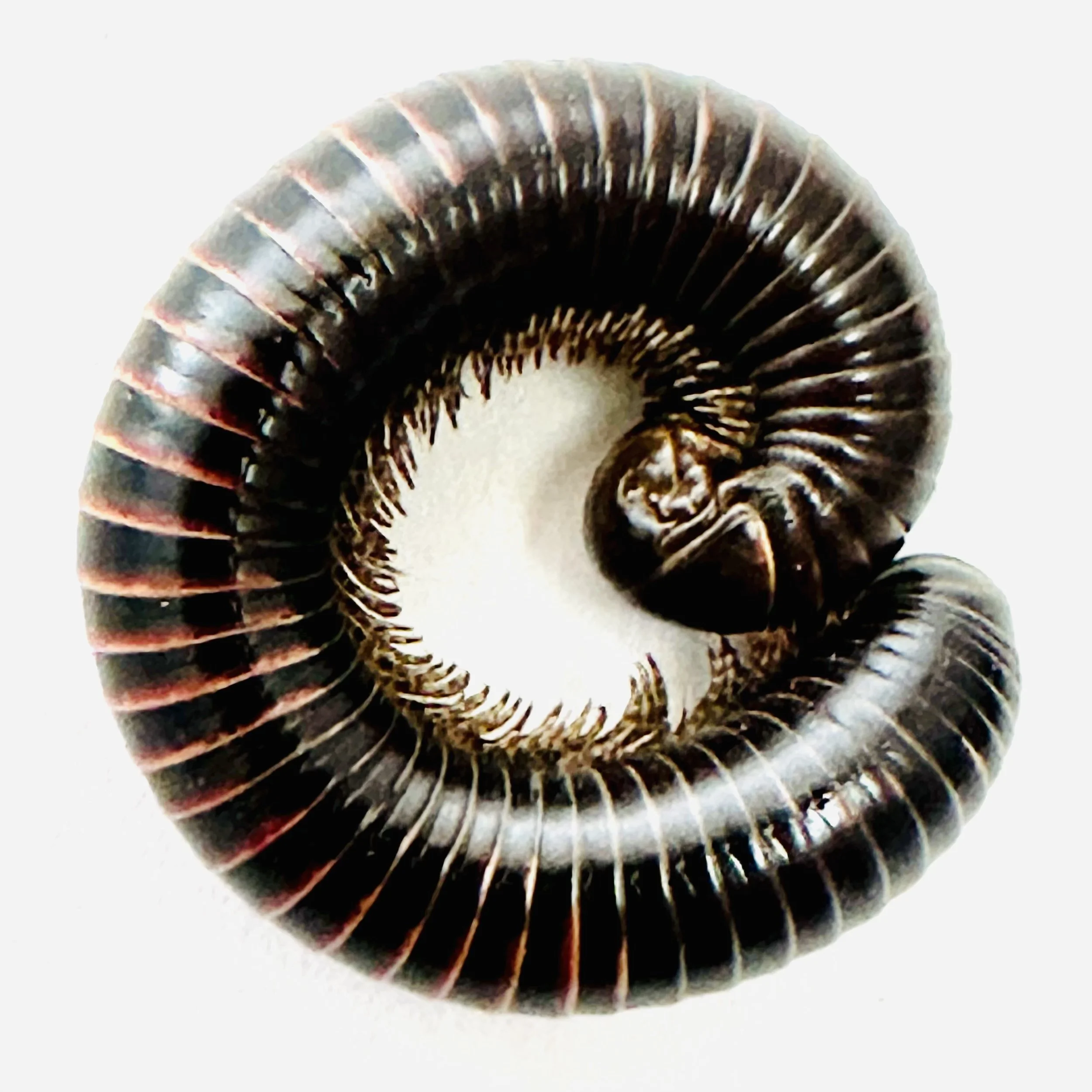 web 2026-03-02 11.25.37-1.jpg