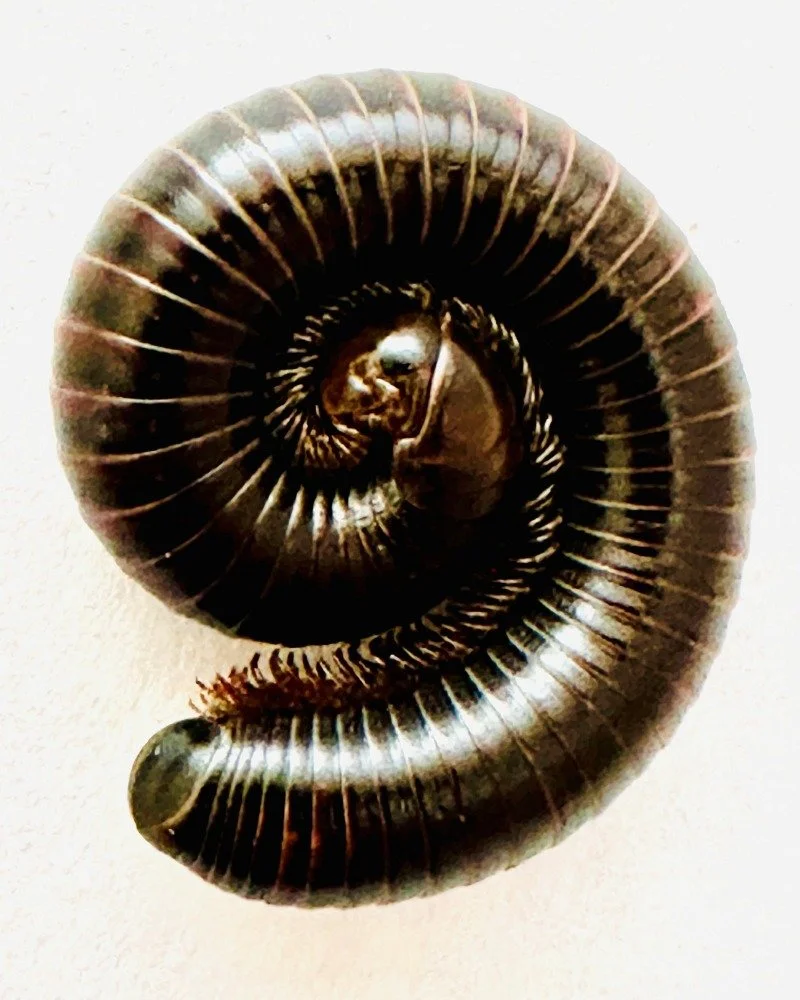 web 2026-03-02 15.55.57-2.jpg