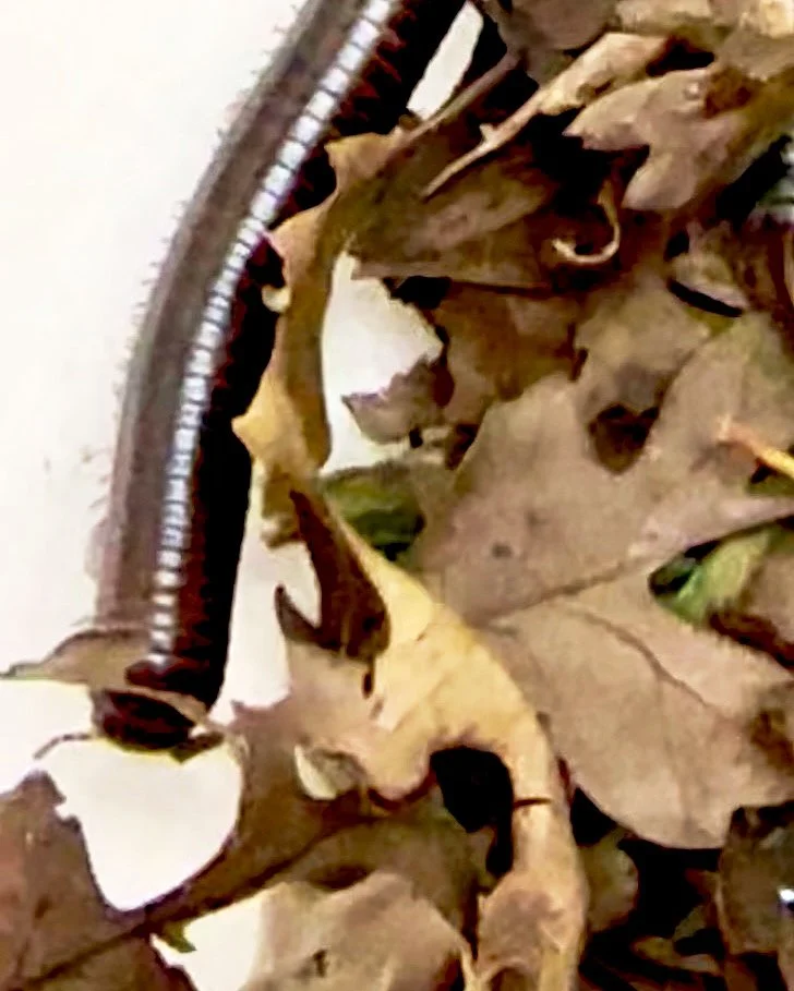 web 2026-03-11 16.02.45.jpg