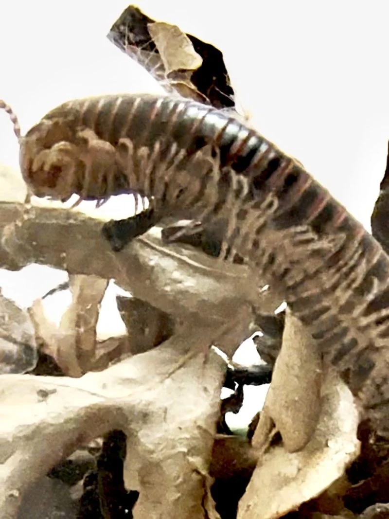 web 2026-03-11 16.17.28.jpg