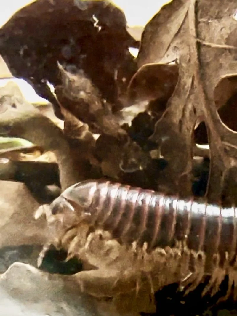 web 2026-03-11 16.18.42.jpg