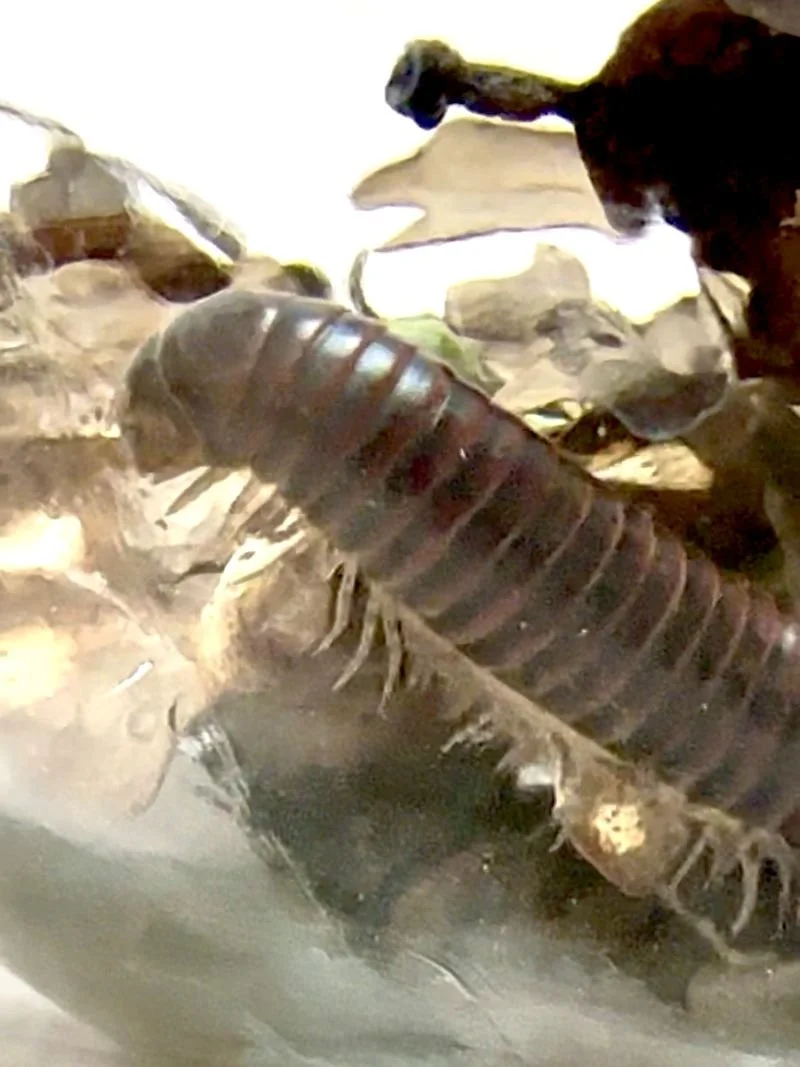 web 2026-03-11 16.19.17.jpg