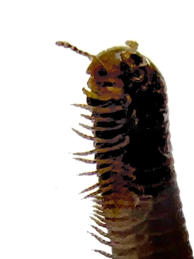 web 2026-03-11 16.19.53.jpg