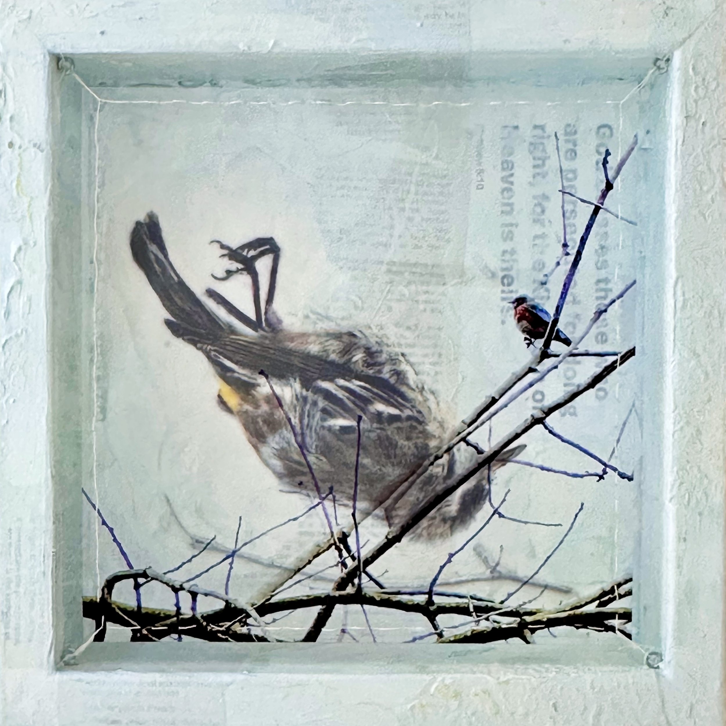 Dissonance (9) Persecuted 10x10x2.5 front.jpg