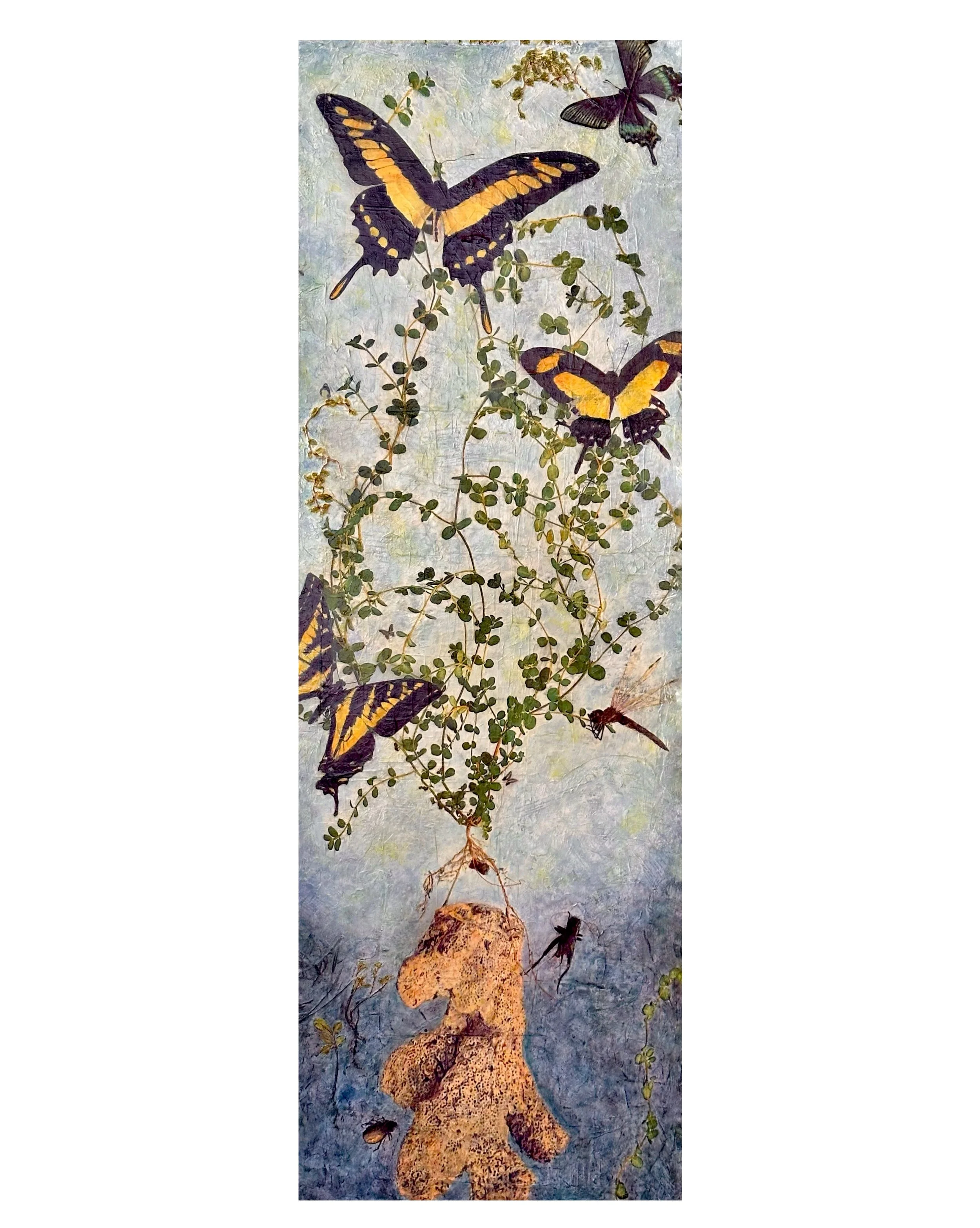 2026-01-29 15.08.44.jpg