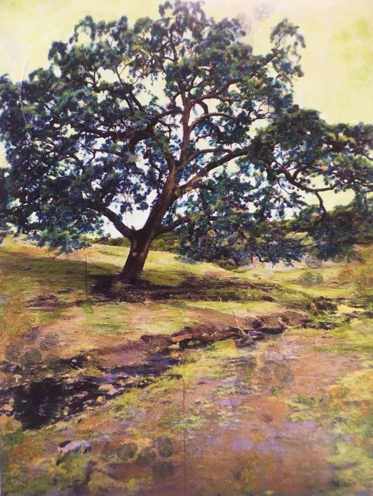 Despite the Darkness 36x48_sm.jpg