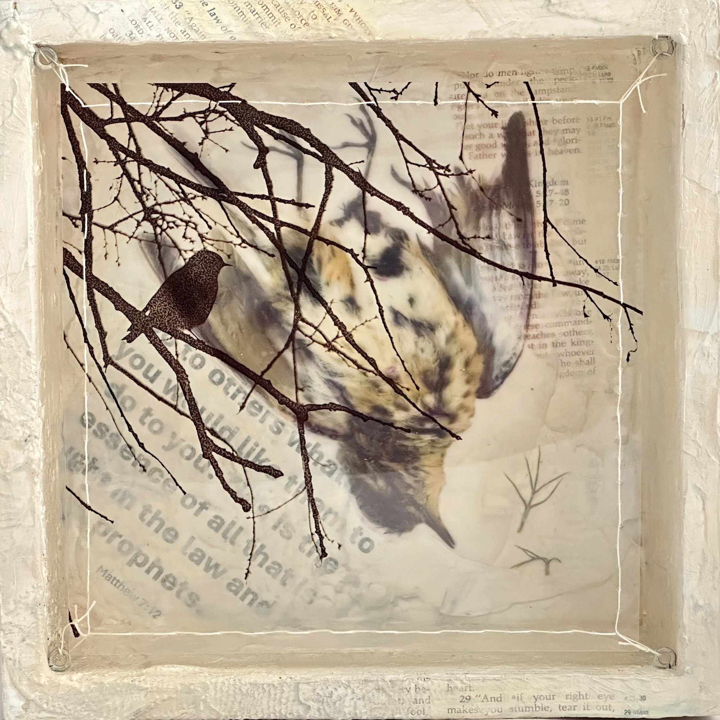 Dissonance (7) Golden Rule 8x8x3.jpg