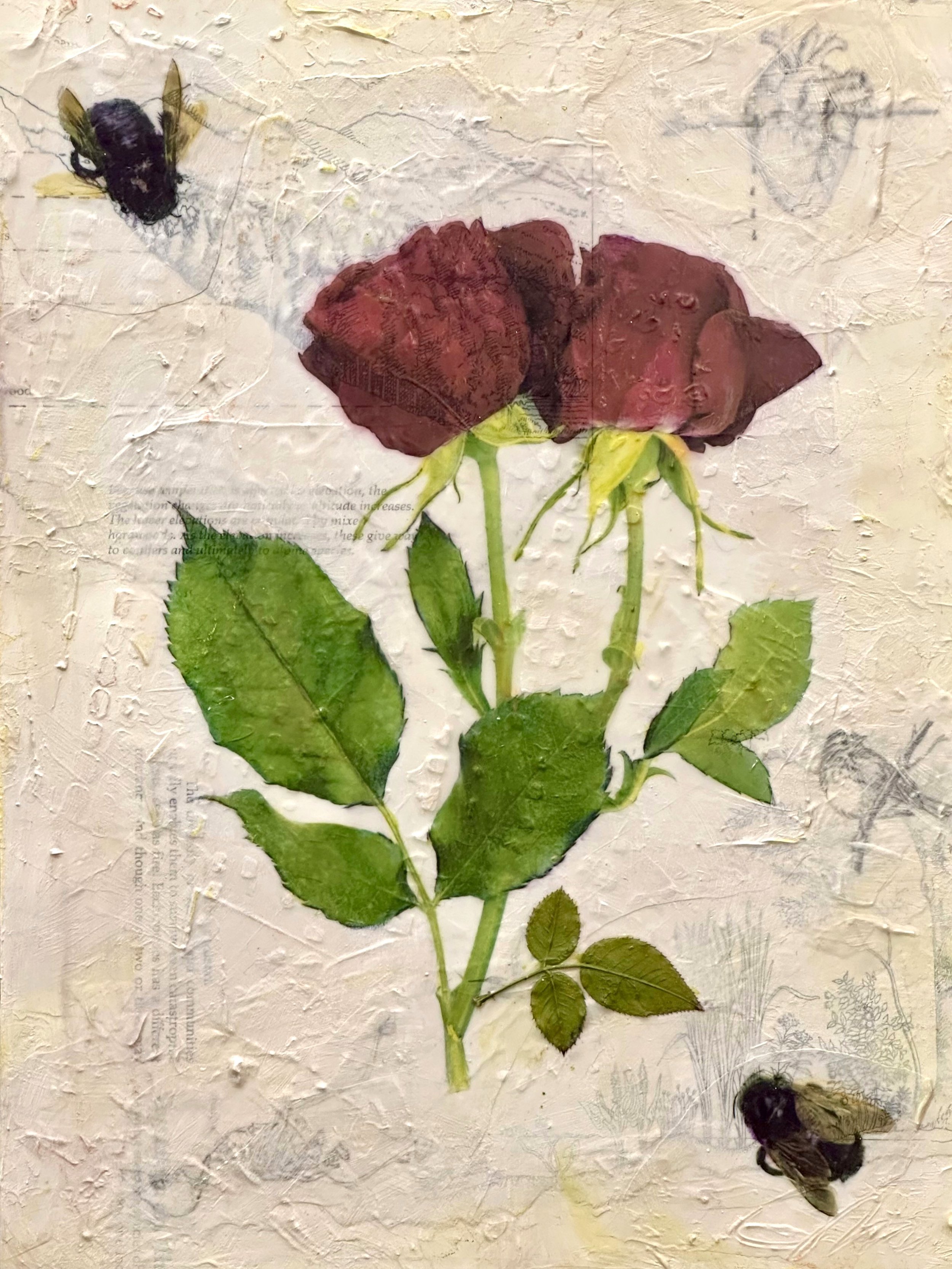 'Admiration' Mixed Media Artwork