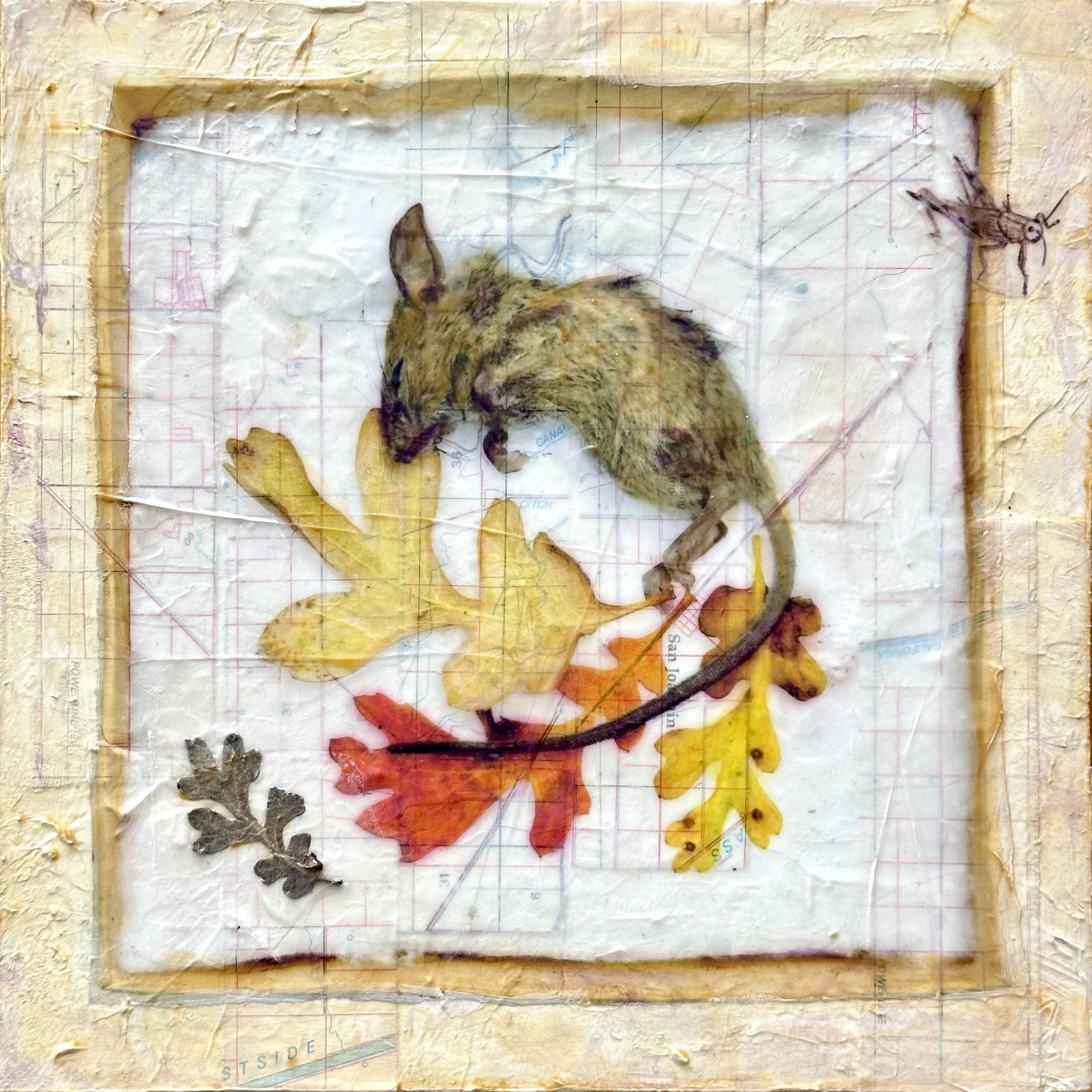 2026-01-10 12.45.11.jpg