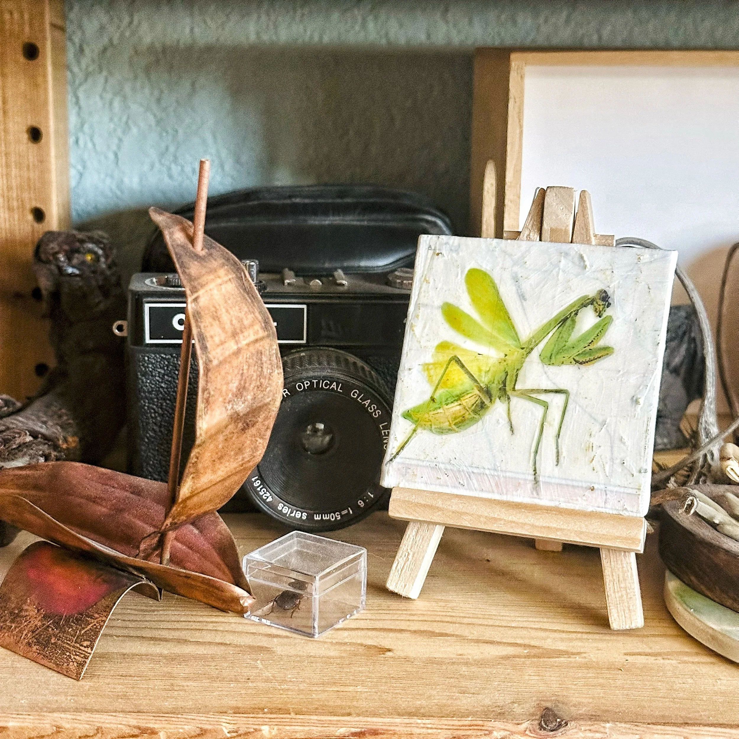 Arizona Mantis on easel.jpg