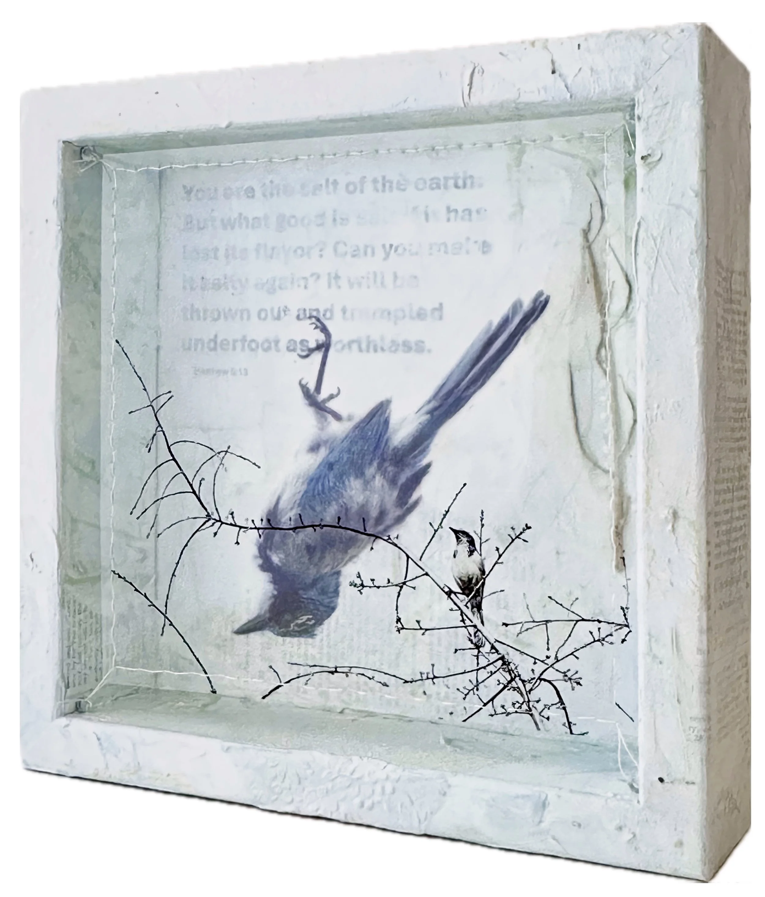 Dissonance (10) Salt of the Earth 10x10x2.5 angle.jpg