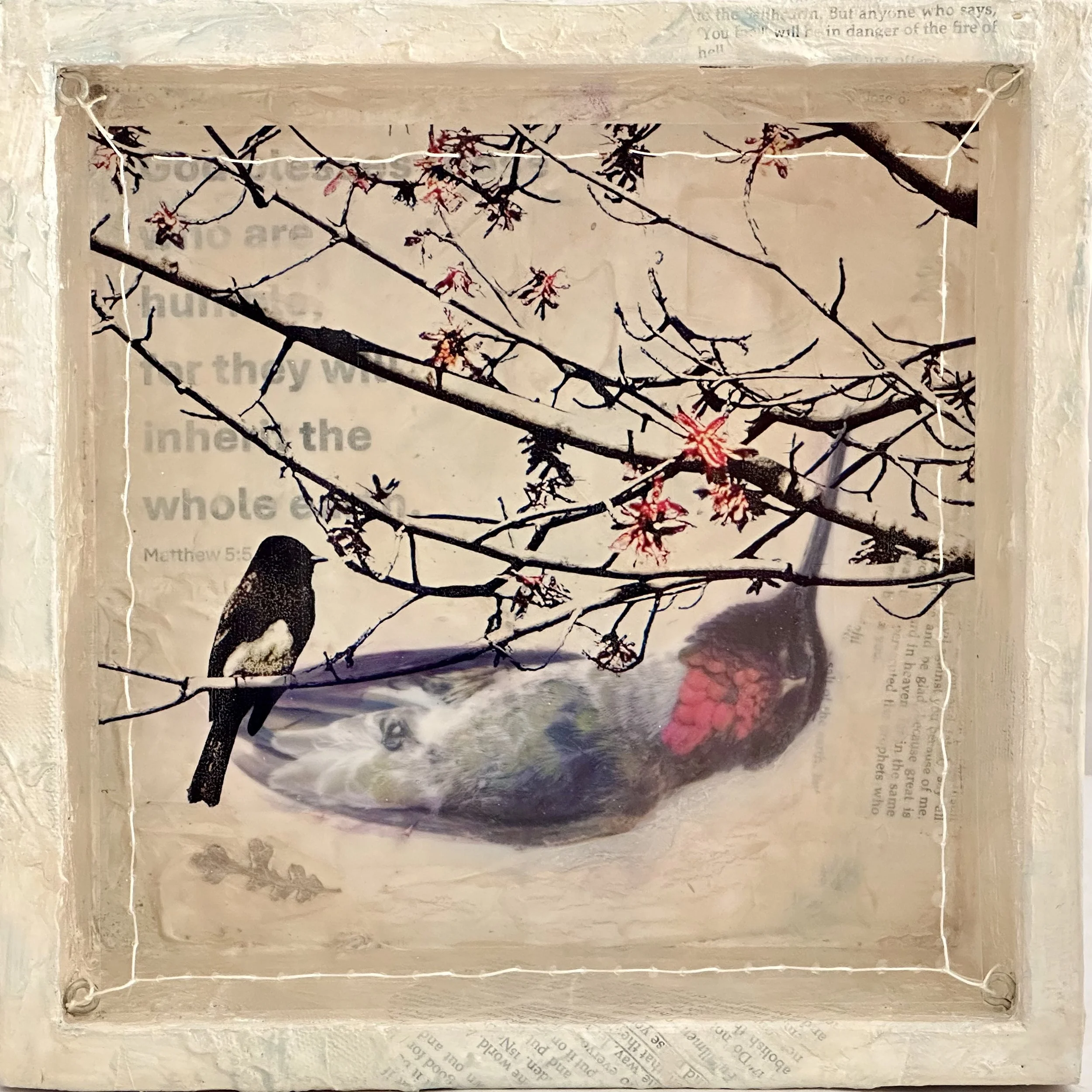 Dissonance (1) Humility 8x8x3.jpg